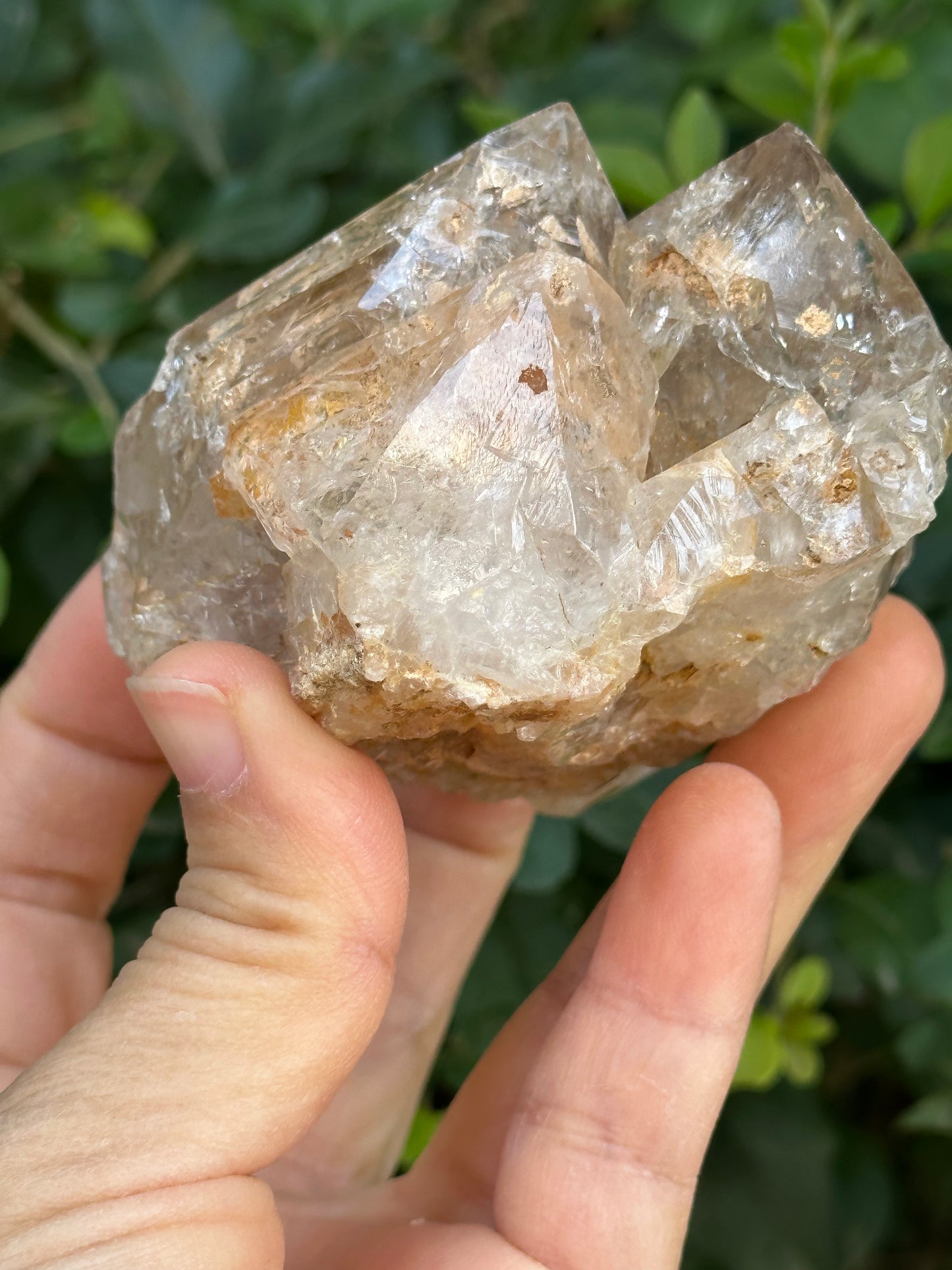 307 g Clear Himalayan Record-keeper Skeletal Quartz Fenster Crystal Cluster