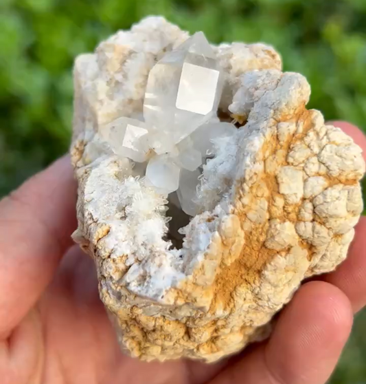 Rare Herkimer Diamond Quartz Crystal Cluster Geode