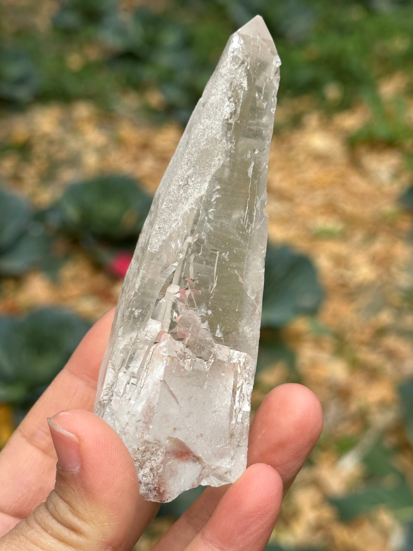 211 g Himalayan Clear Quartz Laser Crystal Point