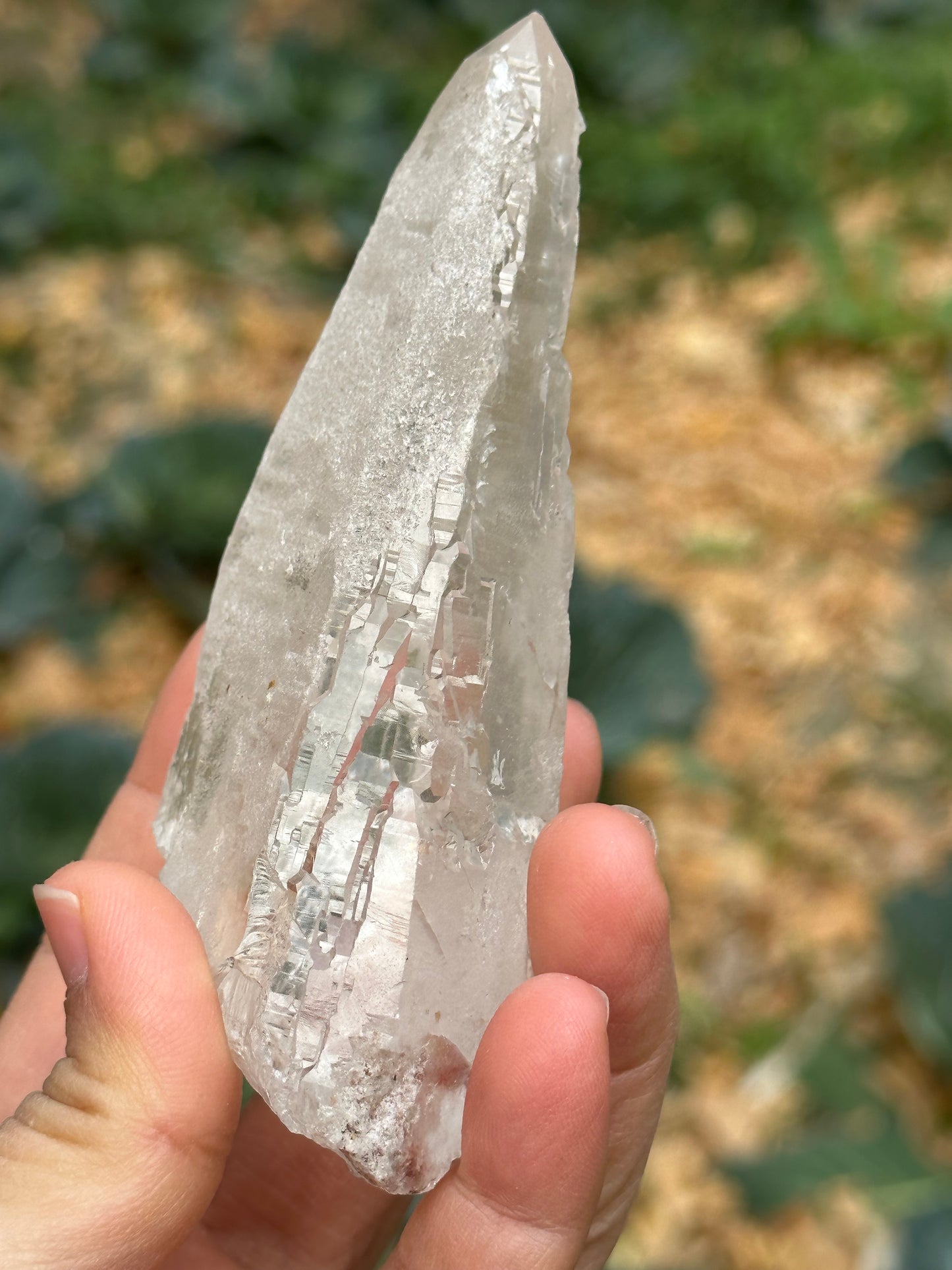 211 g Himalayan Clear Quartz Laser Crystal Point