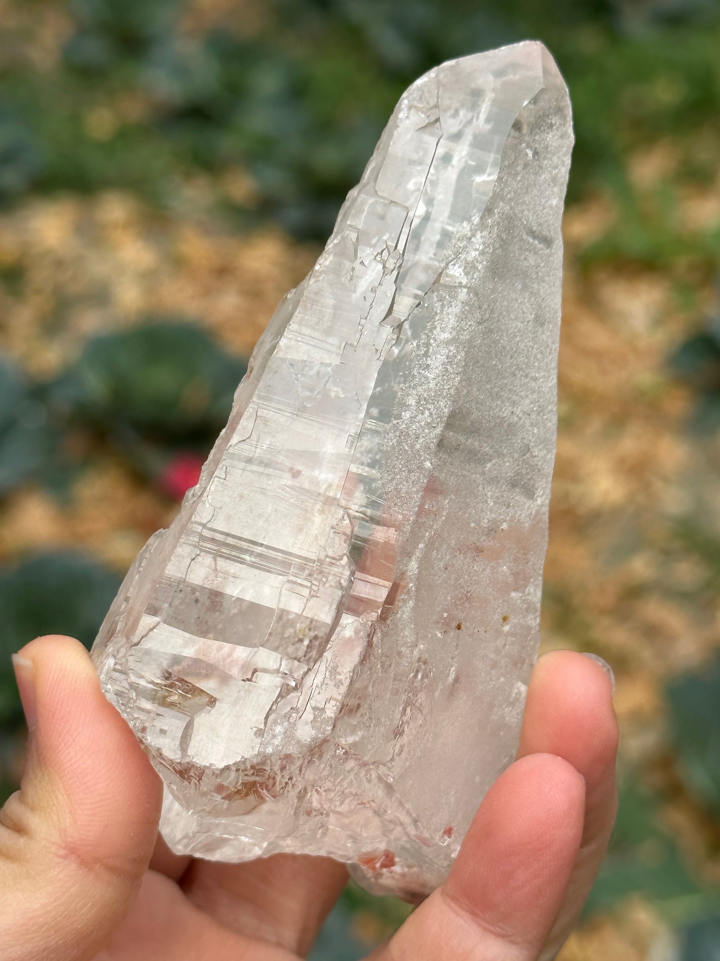 211 g Himalayan Clear Quartz Laser Crystal Point