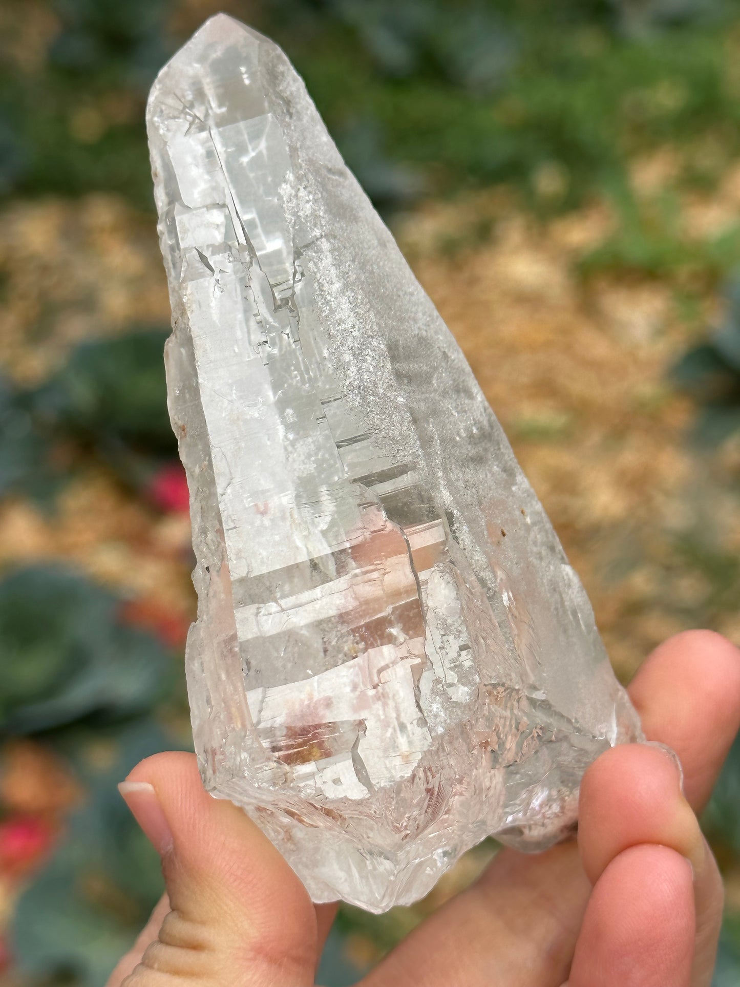 211 g Himalayan Clear Quartz Laser Crystal Point