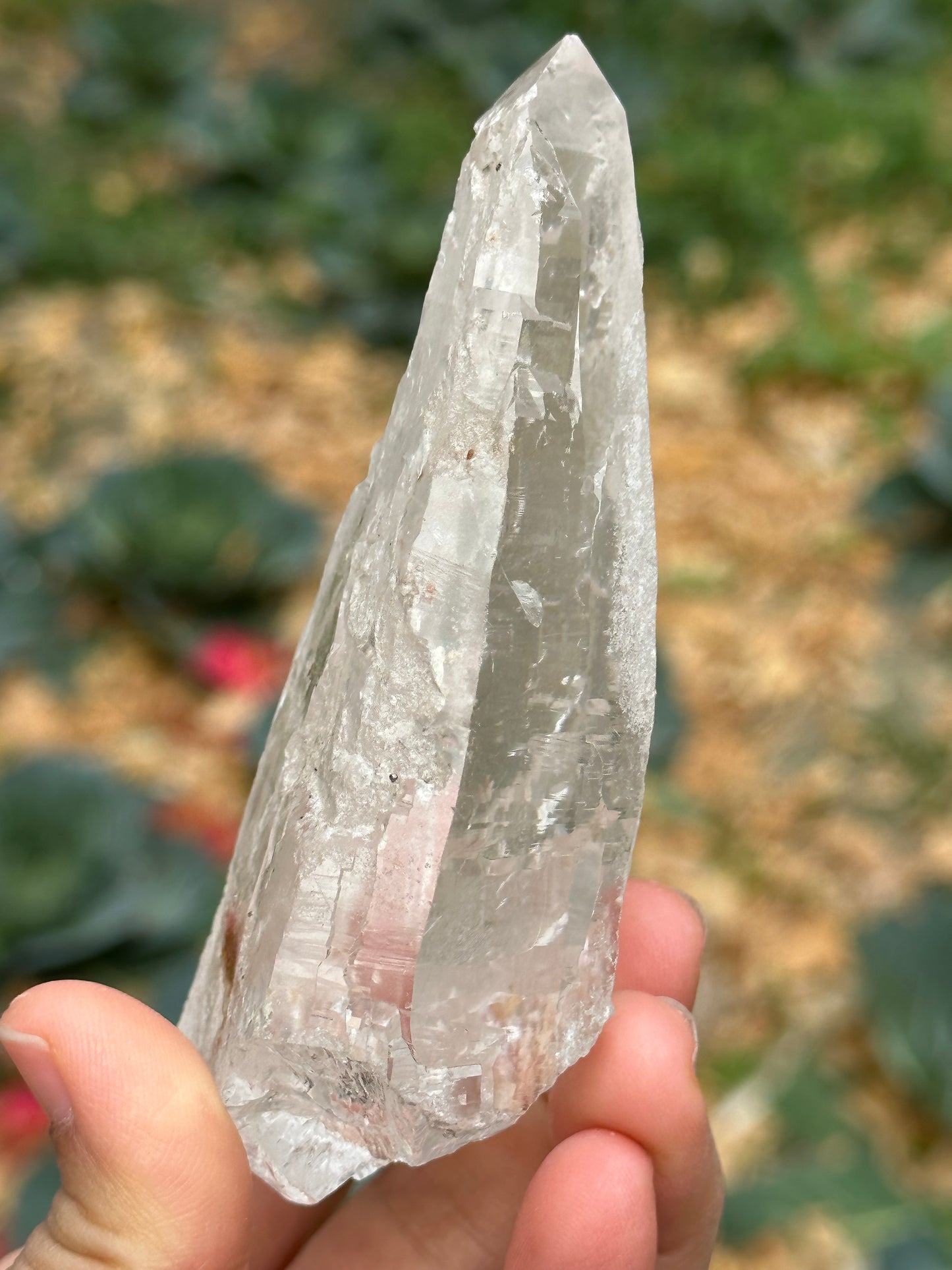 211 g Himalayan Clear Quartz Laser Crystal Point