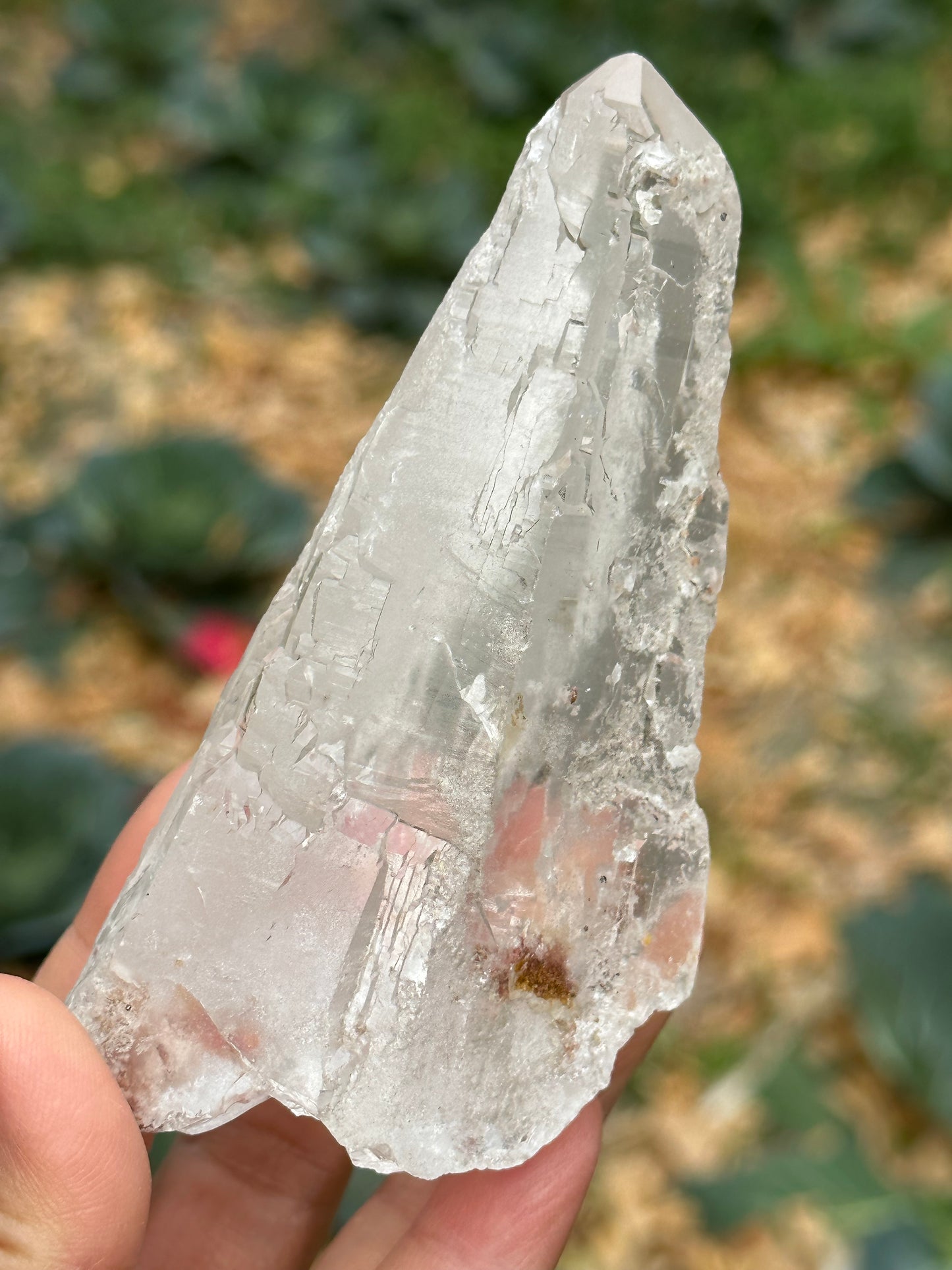 211 g Himalayan Clear Quartz Laser Crystal Point