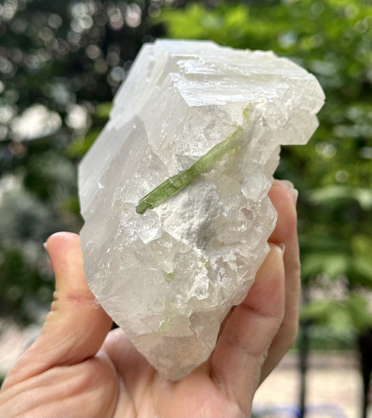 Rough Green Tourmaline grow with Castle Clear Quartz/Raw Tourmaline stone/Colorful Tourmaline/Mineral specimens-1051 g