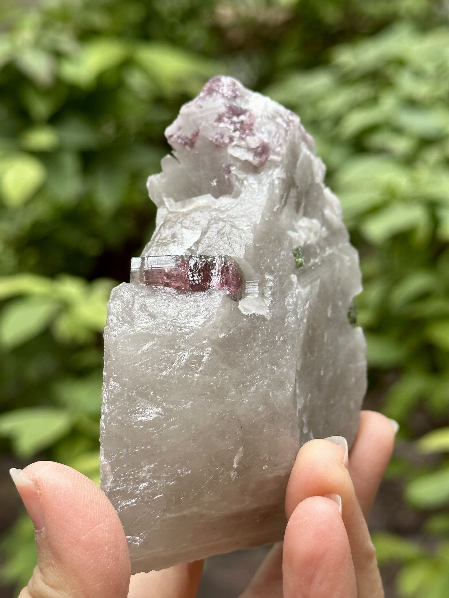 Natural Watermelon Tourmaline grow with Smokey Quartz/Raw Pink Green Tourmaline stone/Colorful Tourmaline/Mineral specimens-265 g