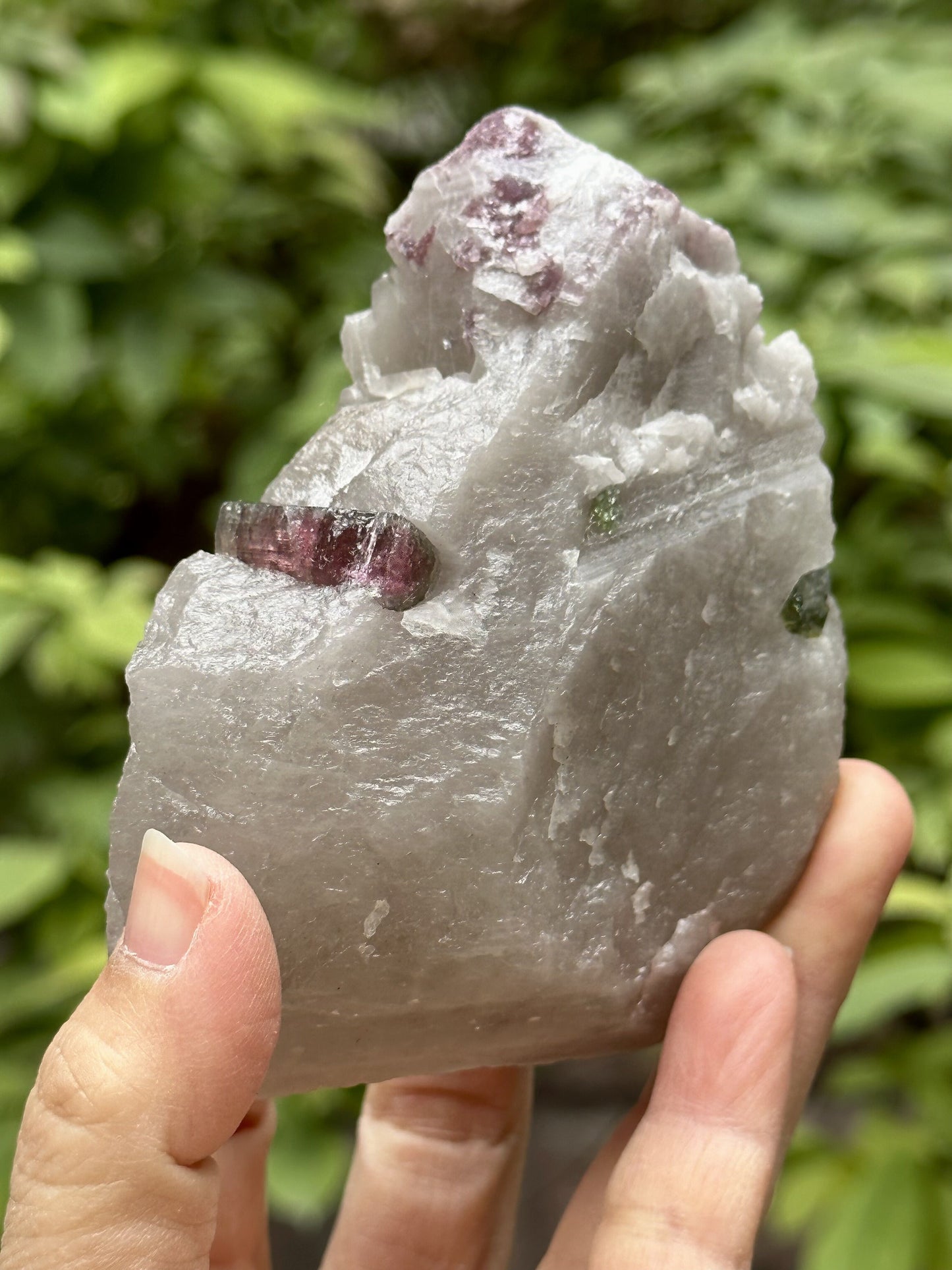 Natural Watermelon Tourmaline grow with Smokey Quartz/Raw Pink Green Tourmaline stone/Colorful Tourmaline/Mineral specimens-265 g