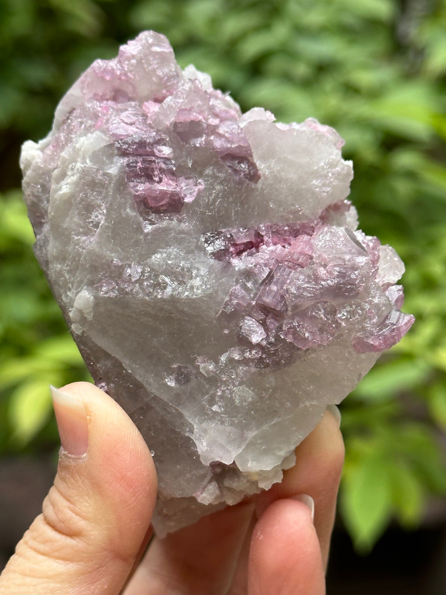 Rare Raw Pink Tourmaline Grow with Citrine Quartz Crystal Stone/Rough Watermelon Tourmaline Specimen/Collection-91*64*56 mm 331 g