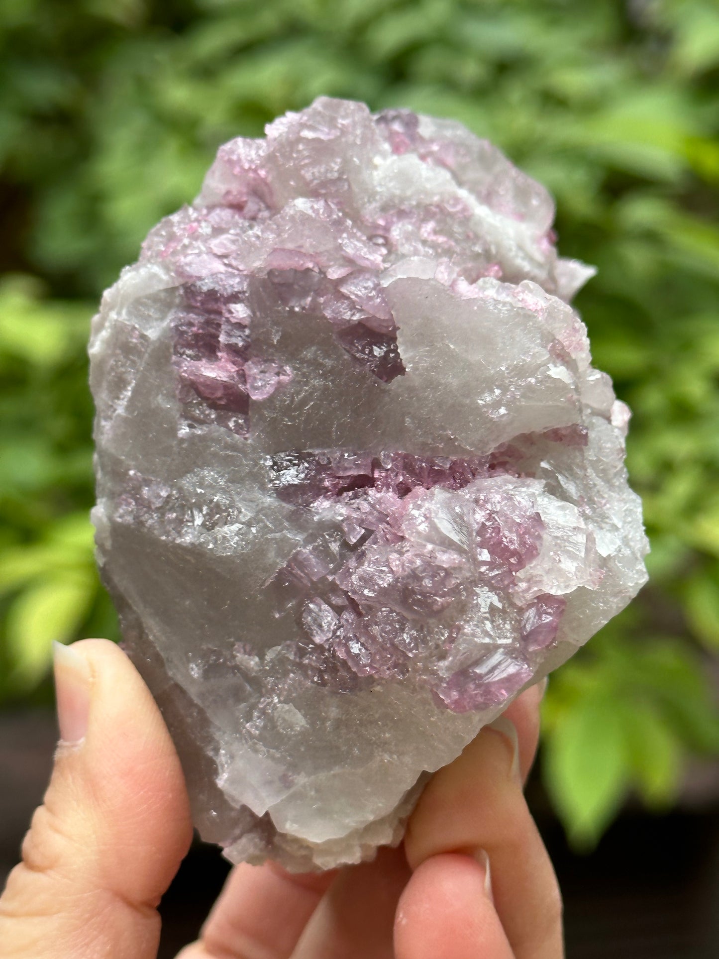 Rare Raw Pink Tourmaline Grow with Citrine Quartz Crystal Stone/Rough Watermelon Tourmaline Specimen/Collection-91*64*56 mm 331 g