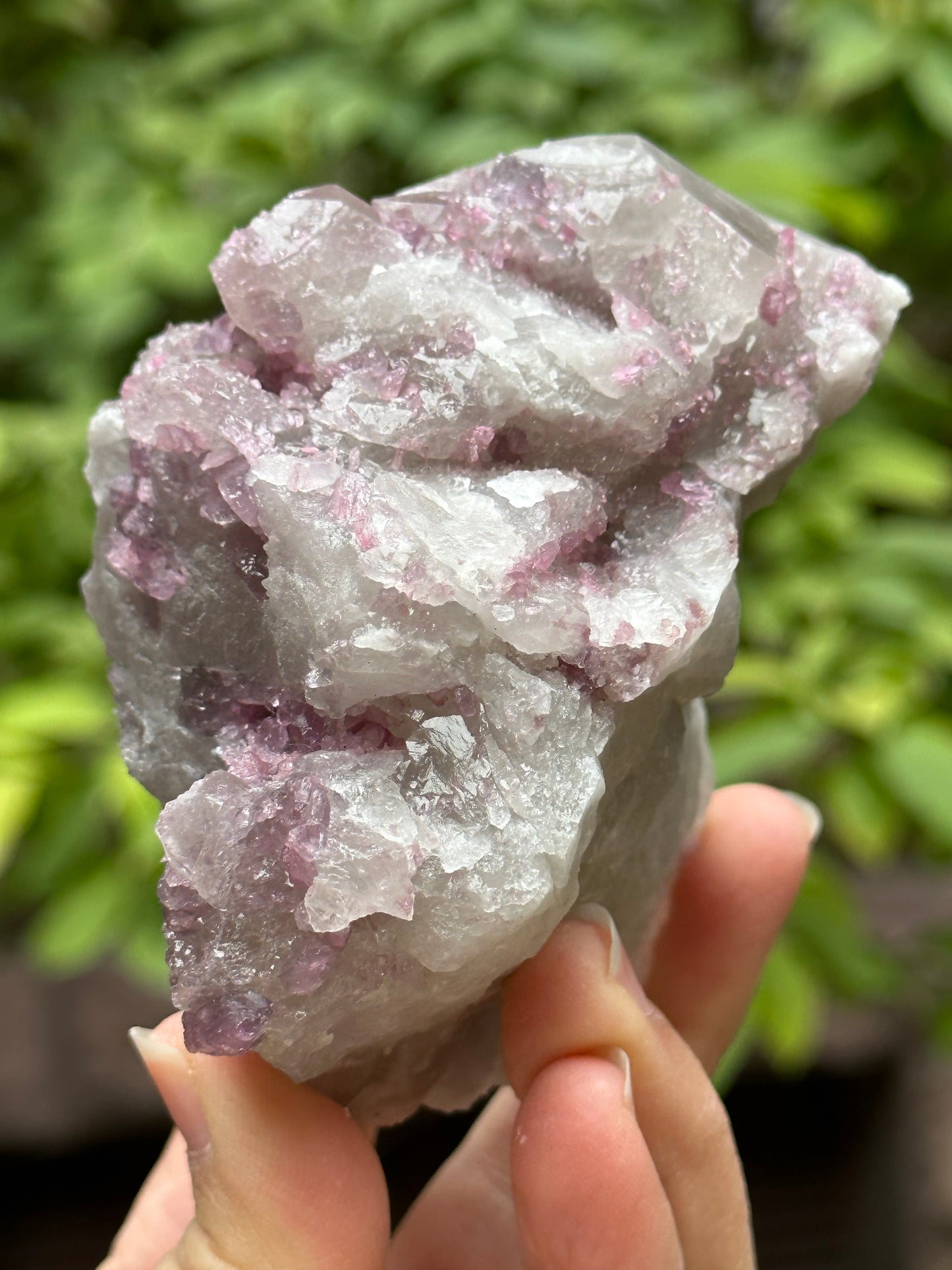 Rare Raw Pink Tourmaline Grow with Citrine Quartz Crystal Stone/Rough Watermelon Tourmaline Specimen/Collection-91*64*56 mm 331 g