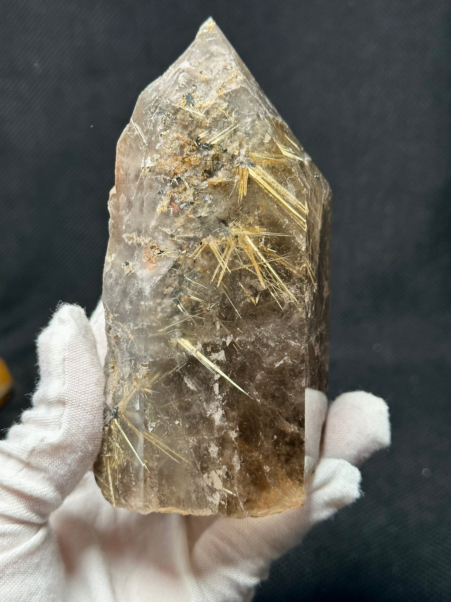 Rare Star Rutile Quartz Crystal Point