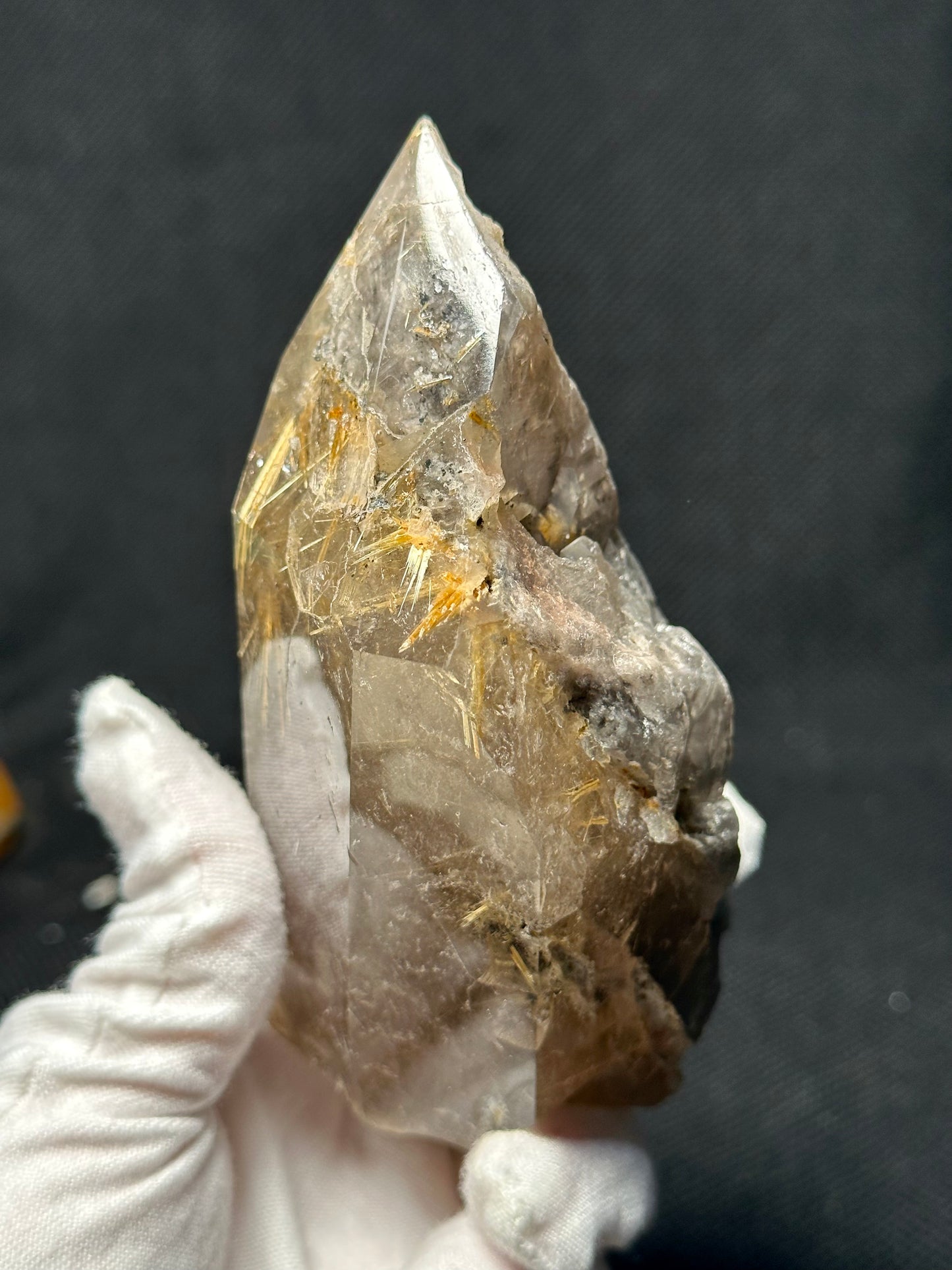 Rare Star Rutile Quartz Crystal Point