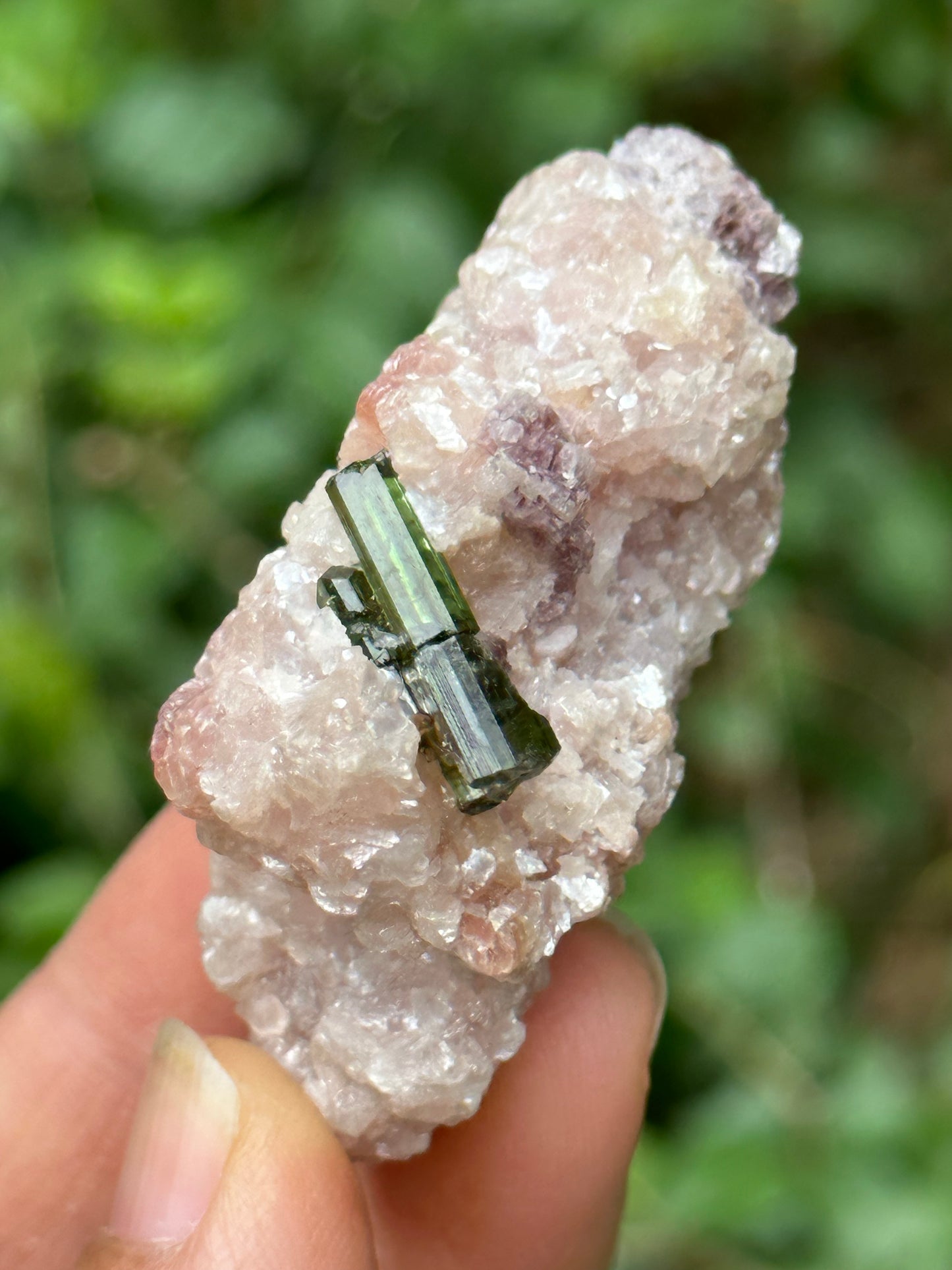 Clear Green Tourmaline Crystal Grow with Pink Muscovite Sericite