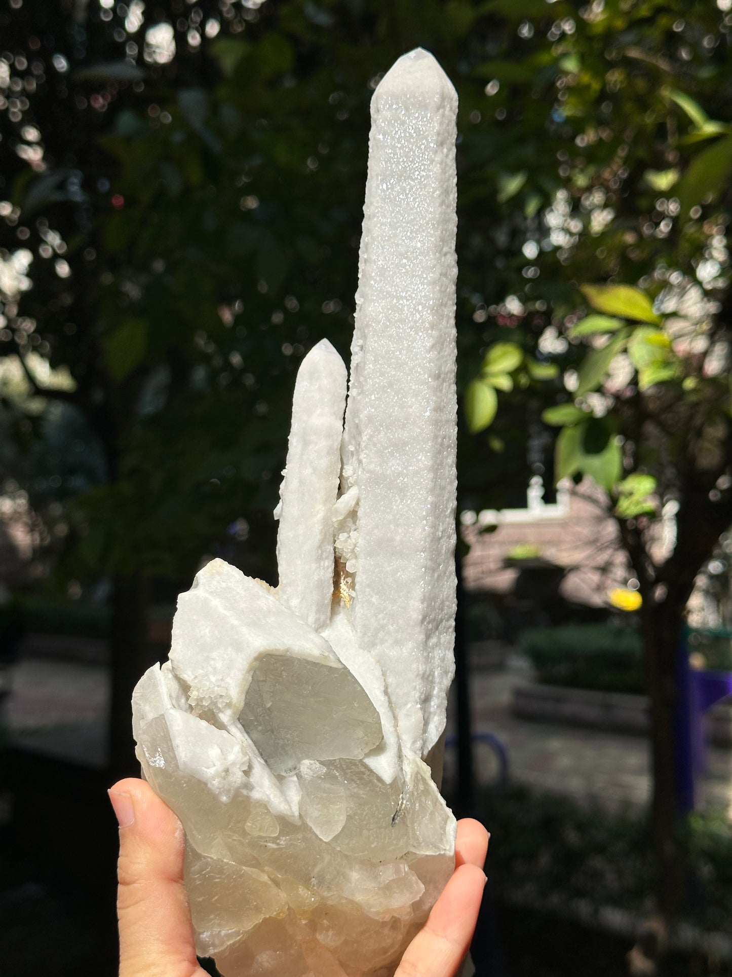 11.6"Long Shining Icing Laser Quartz/Natural Secondary Crystallization Crystal Point/Energy Transmitter/Meditation/Zen-295*128*95 mm 1655g