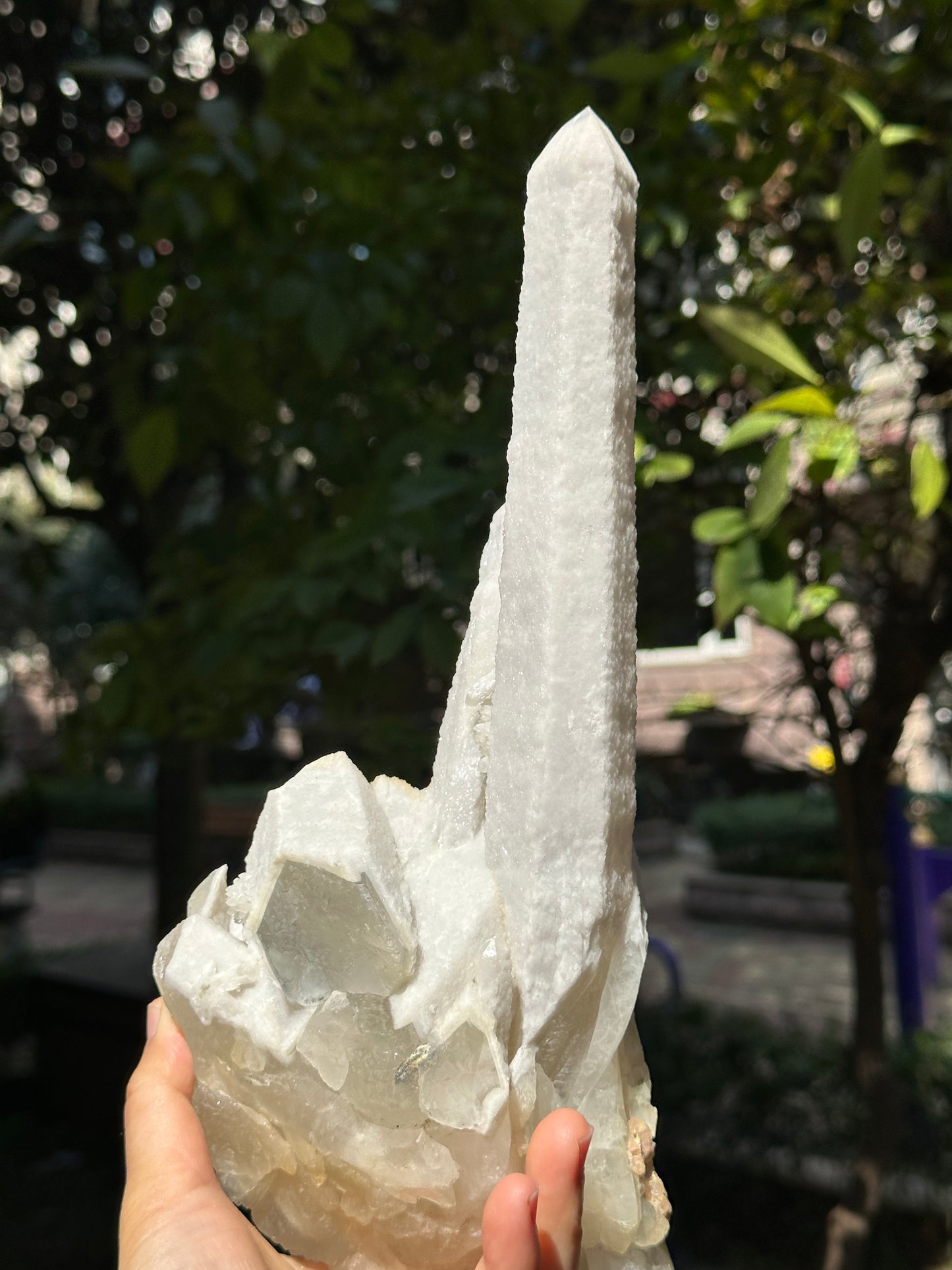 11.6"Long Shining Icing Laser Quartz/Natural Secondary Crystallization Crystal Point/Energy Transmitter/Meditation/Zen-295*128*95 mm 1655g