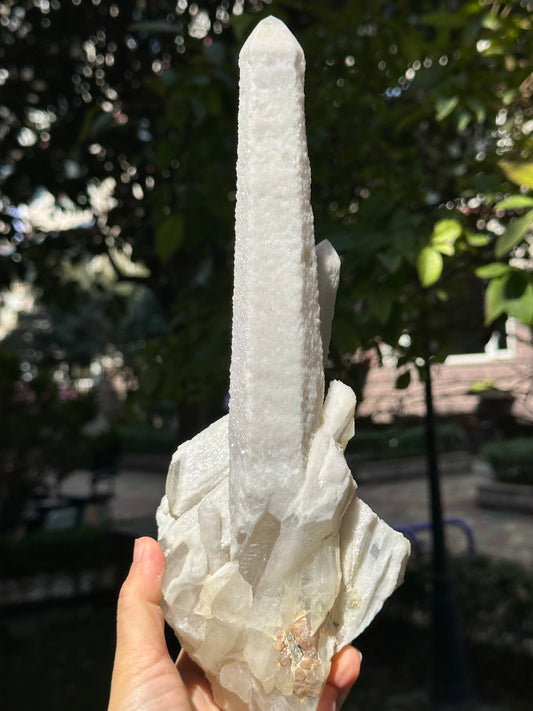 11.6"Long Shining Icing Laser Quartz/Natural Secondary Crystallization Crystal Point/Energy Transmitter/Meditation/Zen-295*128*95 mm 1655g