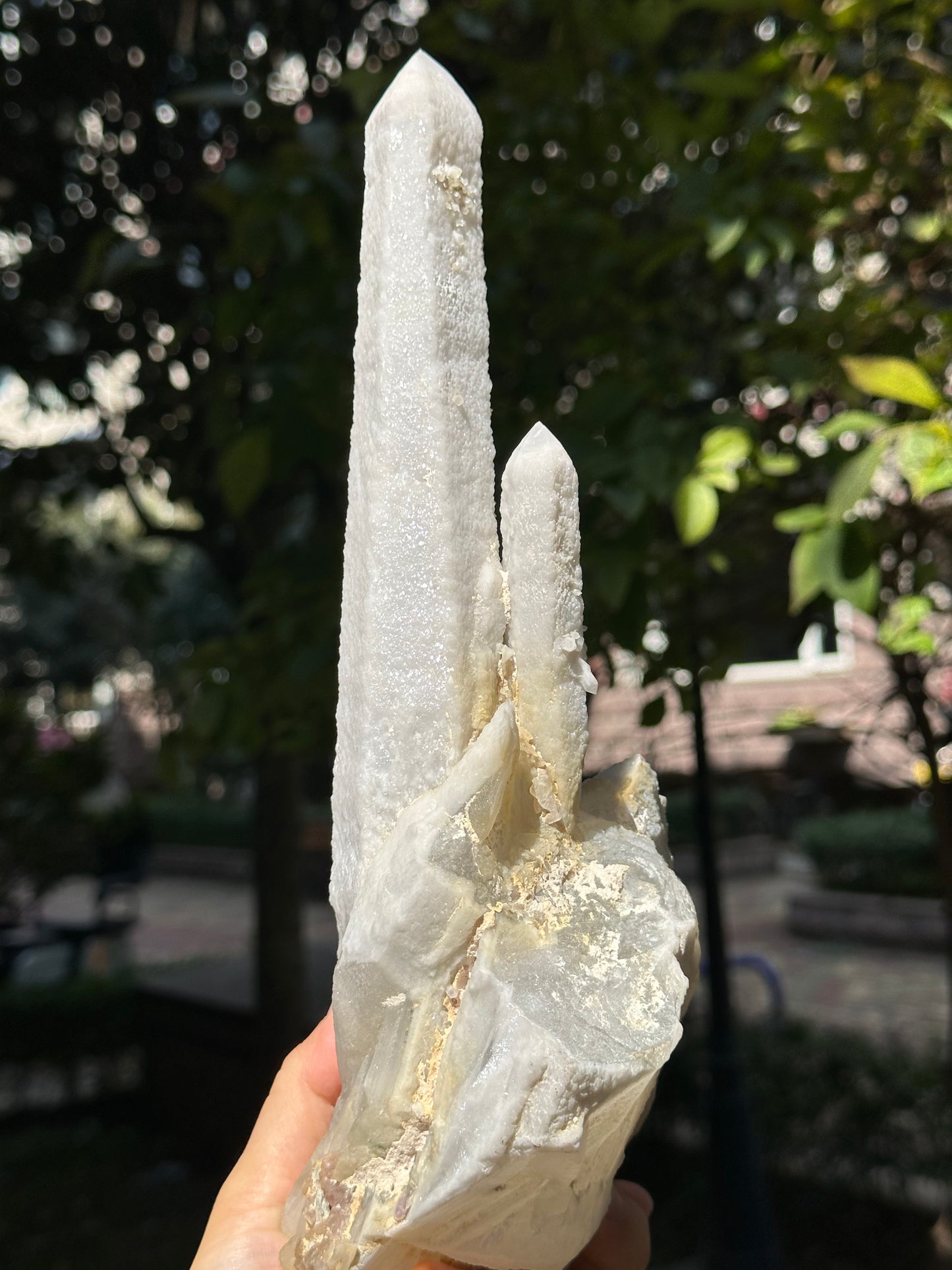 11.6"Long Shining Icing Laser Quartz/Natural Secondary Crystallization Crystal Point/Energy Transmitter/Meditation/Zen-295*128*95 mm 1655g