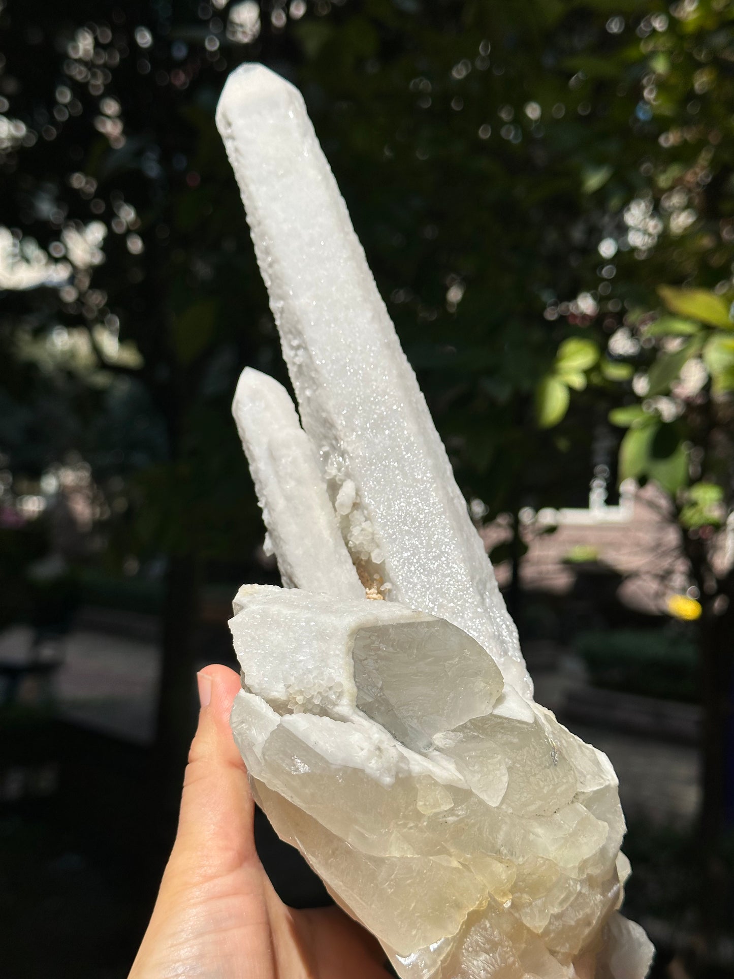 11.6"Long Shining Icing Laser Quartz/Natural Secondary Crystallization Crystal Point/Energy Transmitter/Meditation/Zen-295*128*95 mm 1655g