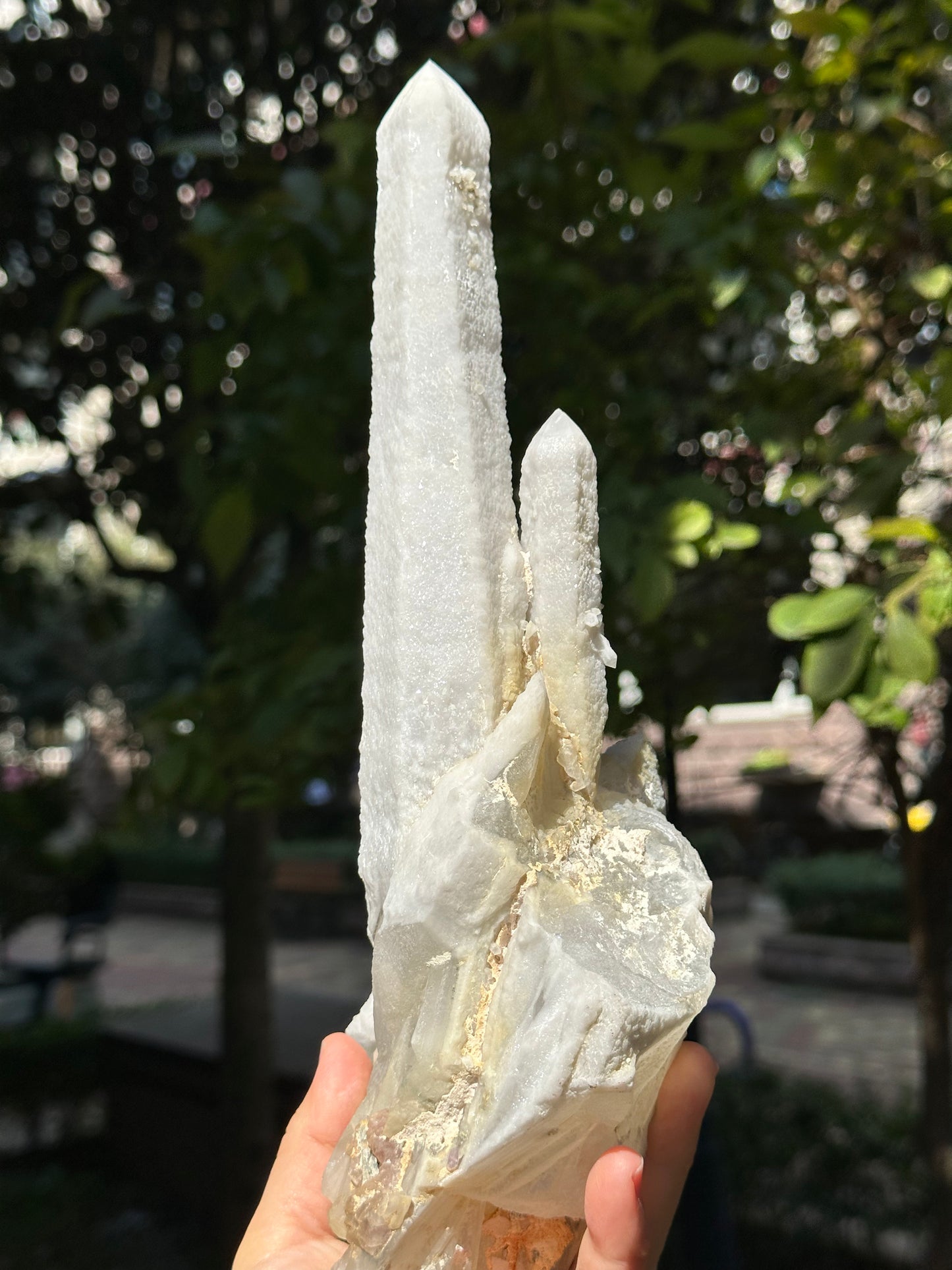 11.6"Long Shining Icing Laser Quartz/Natural Secondary Crystallization Crystal Point/Energy Transmitter/Meditation/Zen-295*128*95 mm 1655g