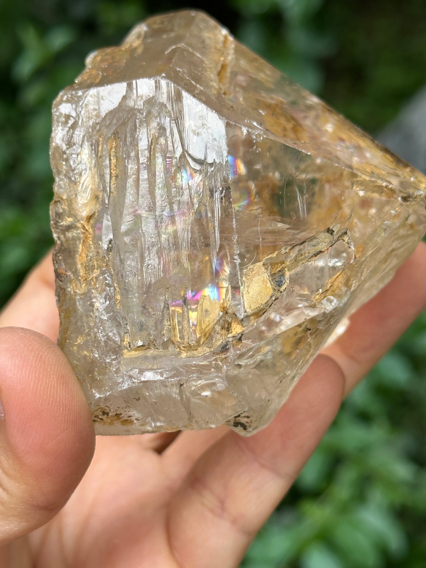 Large Clear Himalayan Skeletal Fenster Quartz with opening windows Crystal Point with golden soil-Himalayas crystal/Energy Quartz-310 g