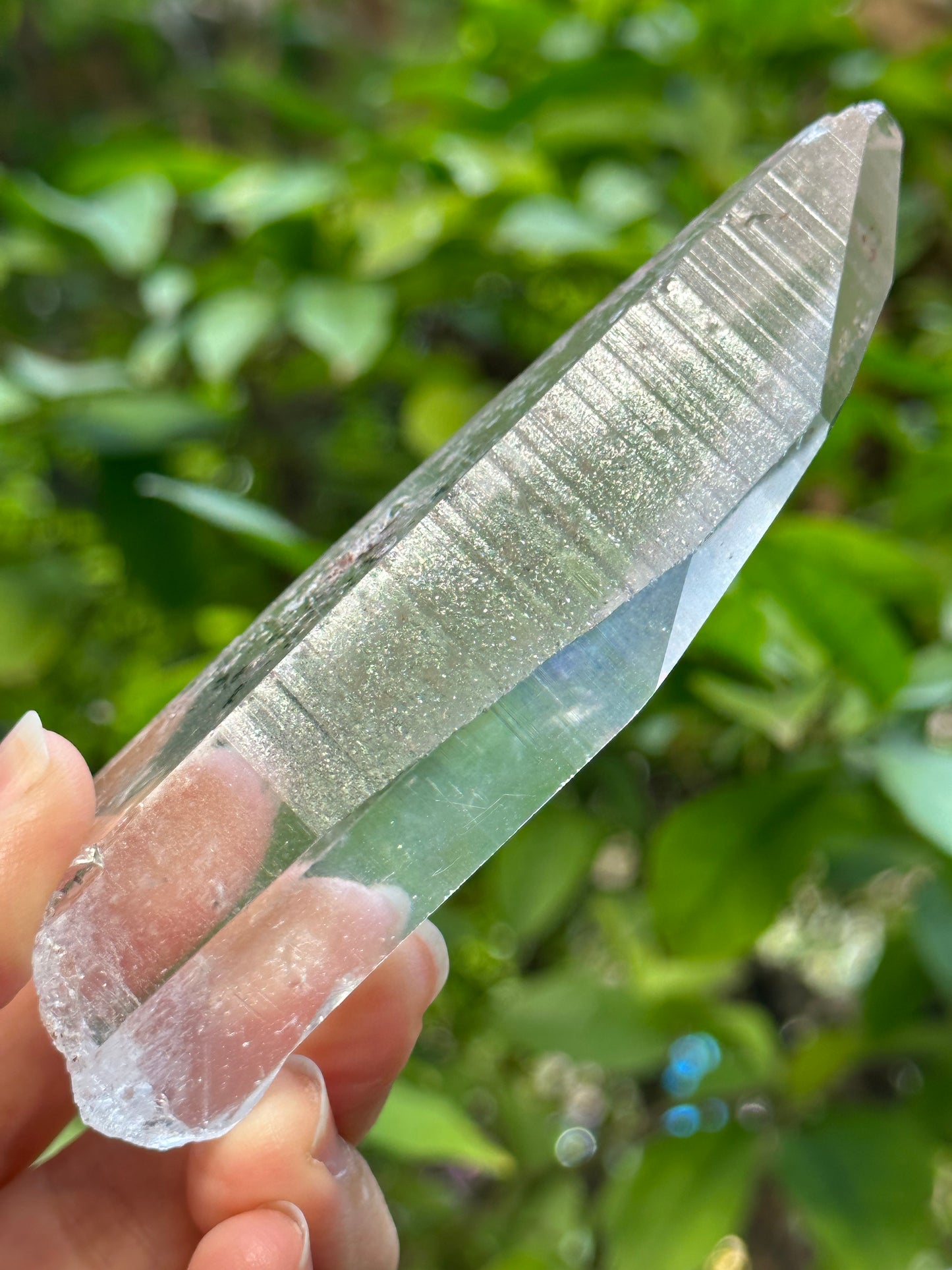 Rare Perfect Clear Record-keeper Lemurian Seed Quartz Crystal With Green Phantom Included