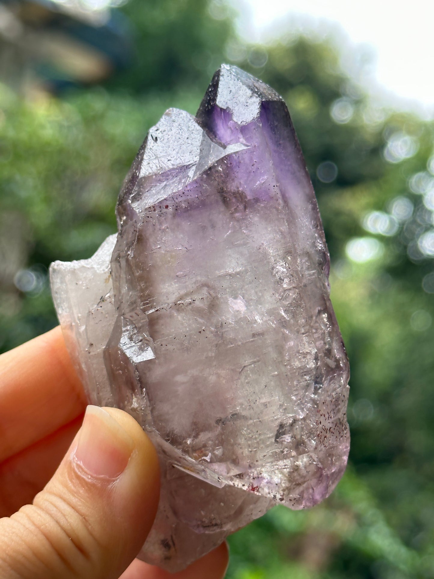 Rare Tabular Double Terminated Super 7 Amethyst Quartz Crystals