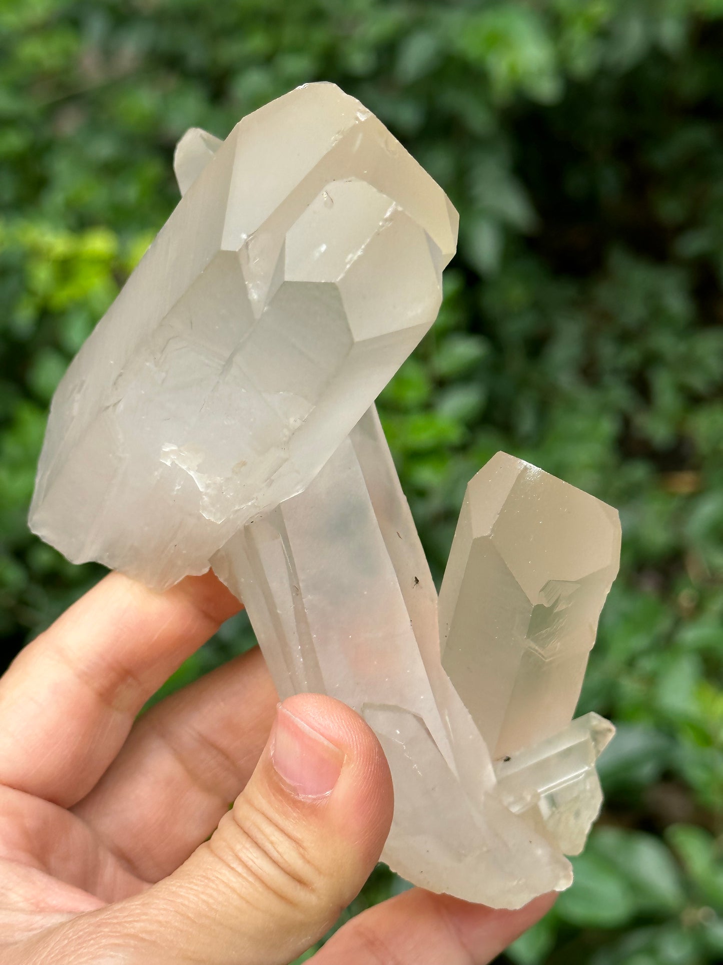 Rare Raw Bridge Quartz Crystal Cluster/Tantric twins+Time Links+Transmitter Quartz/Healing Crystal and Stone-117*46*89 mm 309 g