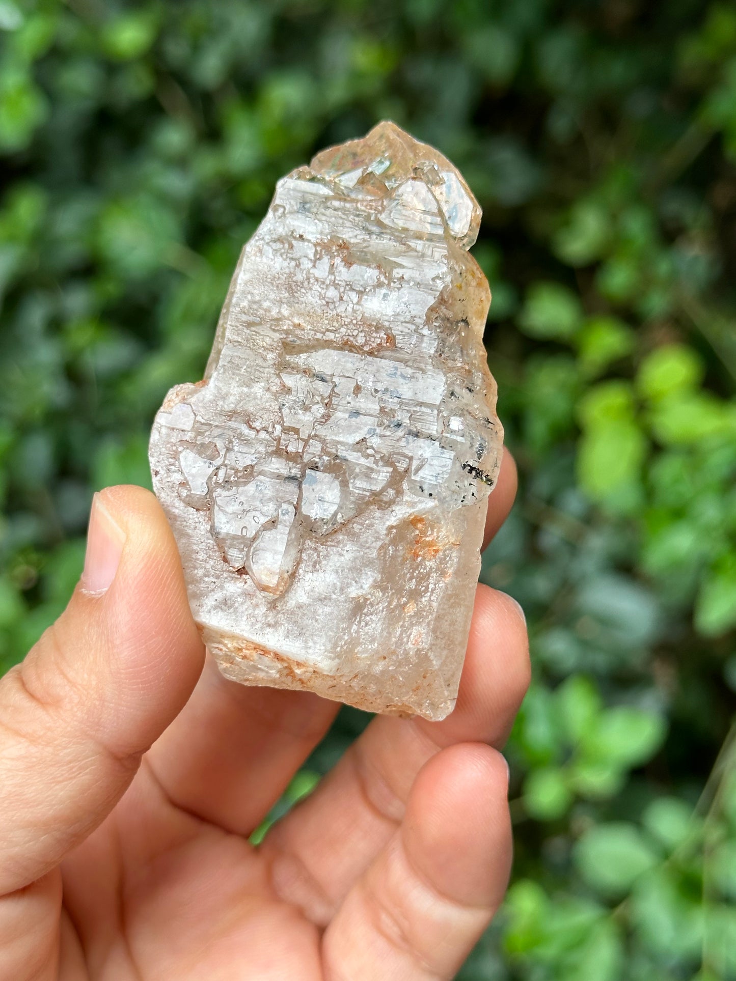 Fluorescent Skeletal Nirvana Quartz Crystal Point with Red Mud-from Madagascar Scepter crystal/Energy Quartz/Palm Stone Crystal- 73 g