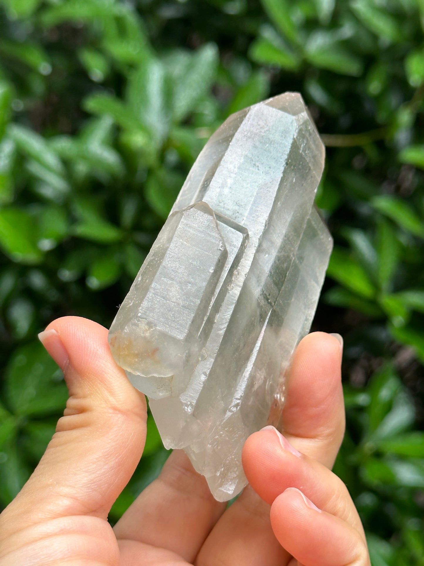 Rare Tabular Multiple Double Terminated Quartz Crystals with Light Green Phantom Included,Chlorite Pyramid Including