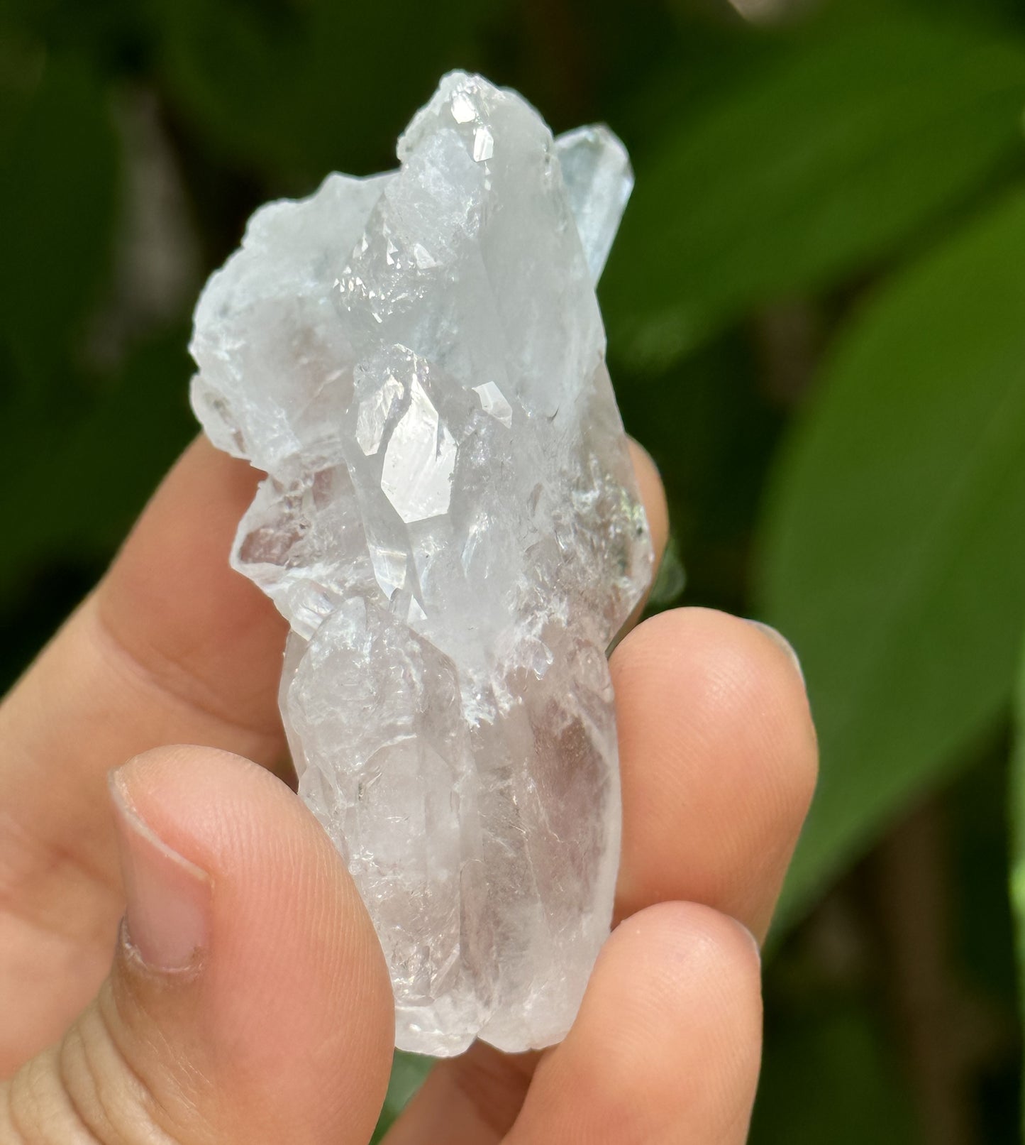 Clear Himalayan Double Termianted Faden Quartz Tabular Crystal Cluster