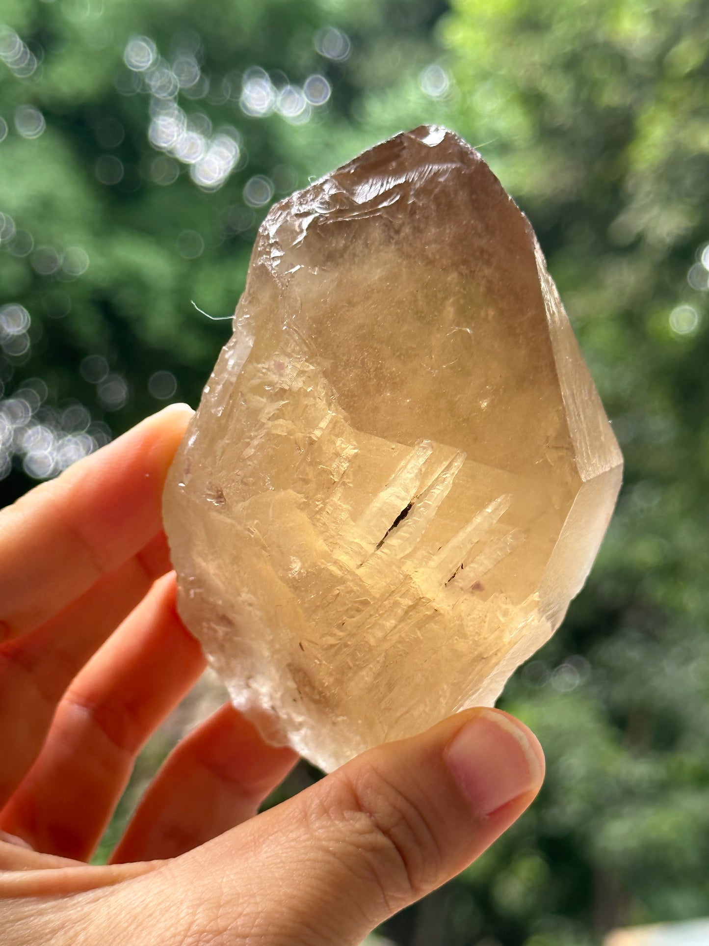 307 g Natural Citrine Record-keeper Quartz Crystal Point