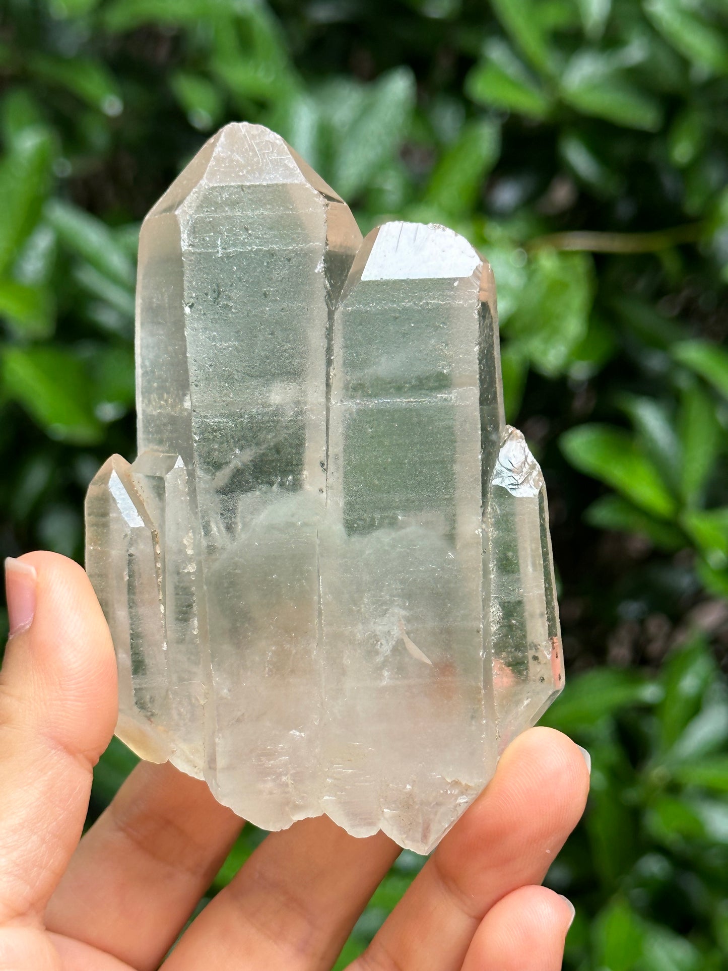 Rare Tabular Multiple Double Terminated Quartz Crystals with Light Green Phantom Included,Chlorite Pyramid Including