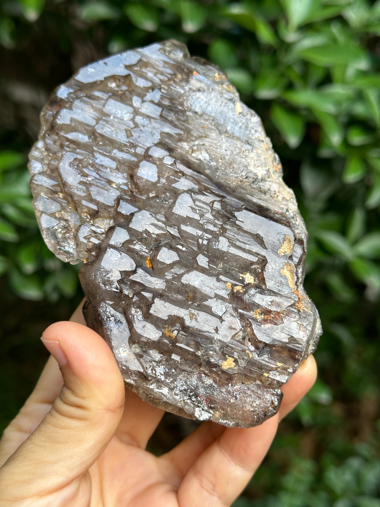 294 g Rare Double Terminated Double Sided Smokey Quartz Crystal Plate