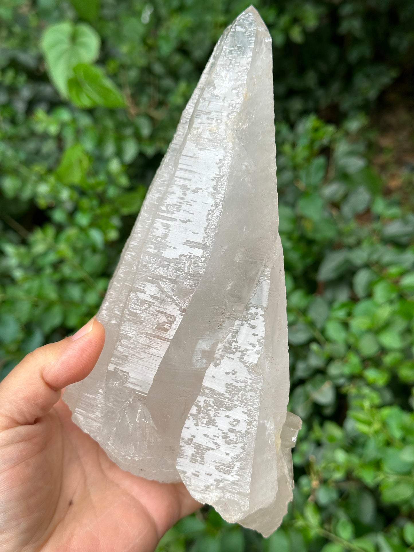 Rare Ice White Himalayan Skeletal Laser Quartz Castle Crystal Cluster/Knife Crystal Point-1125g 194*87*68 mm