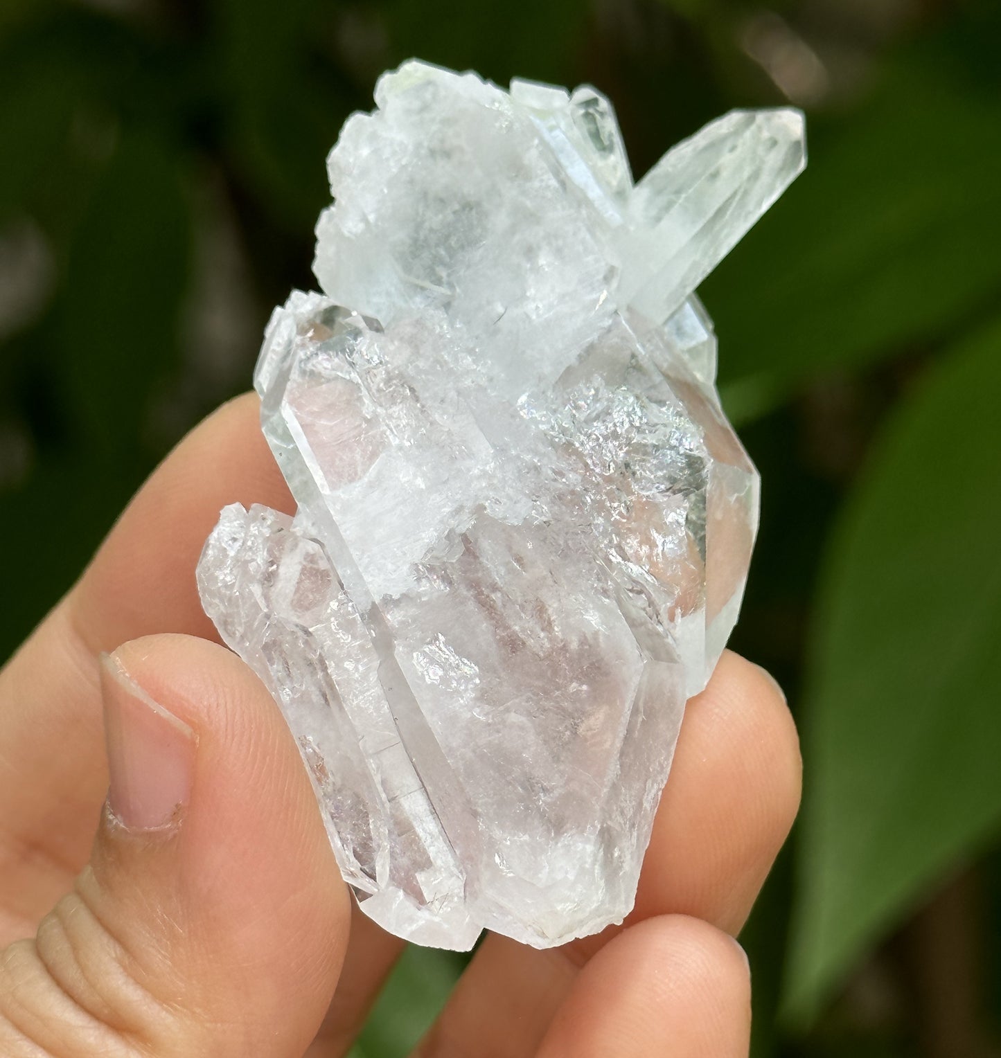 Clear Himalayan Double Termianted Faden Quartz Tabular Crystal Cluster