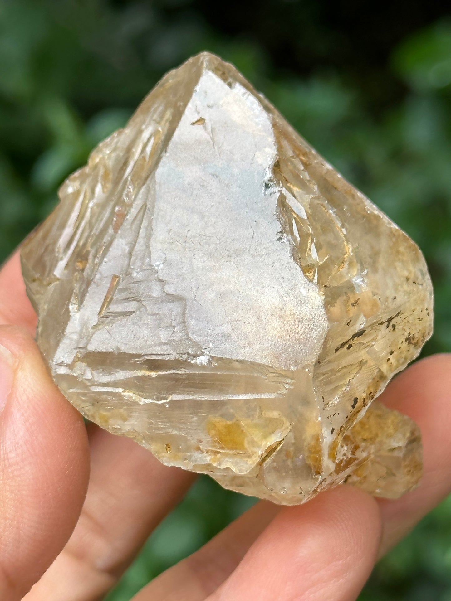 Natural Fenster Crystal Skeletal Quartz Point with golden soil-from Himalayas,Nirvana crystal/Energy Quartz-47*52*42 mm 101 g