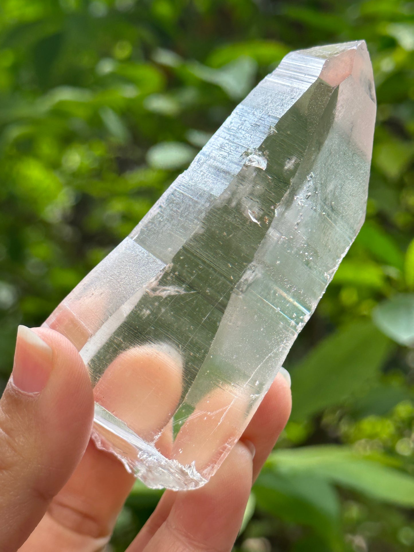 Rare Perfect Clear Lemurian Seed Quartz Crystal With Green Phantom & Silver Rutile Included