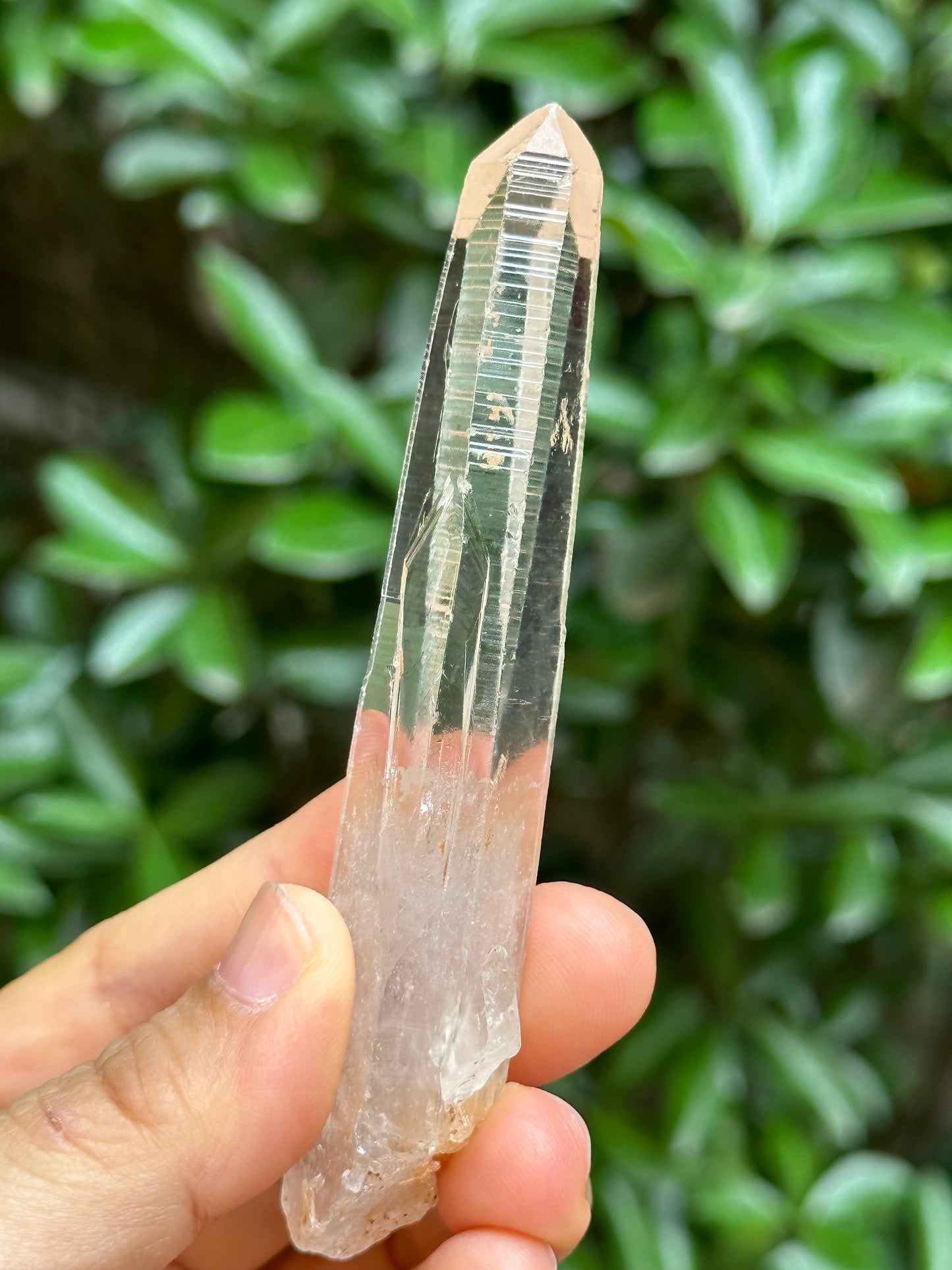 Perfect Clear Himalayan Lemurian Seed Quartz Crystal/Receiver Generator Quartz Crystal-102*19*13 mm  46 g