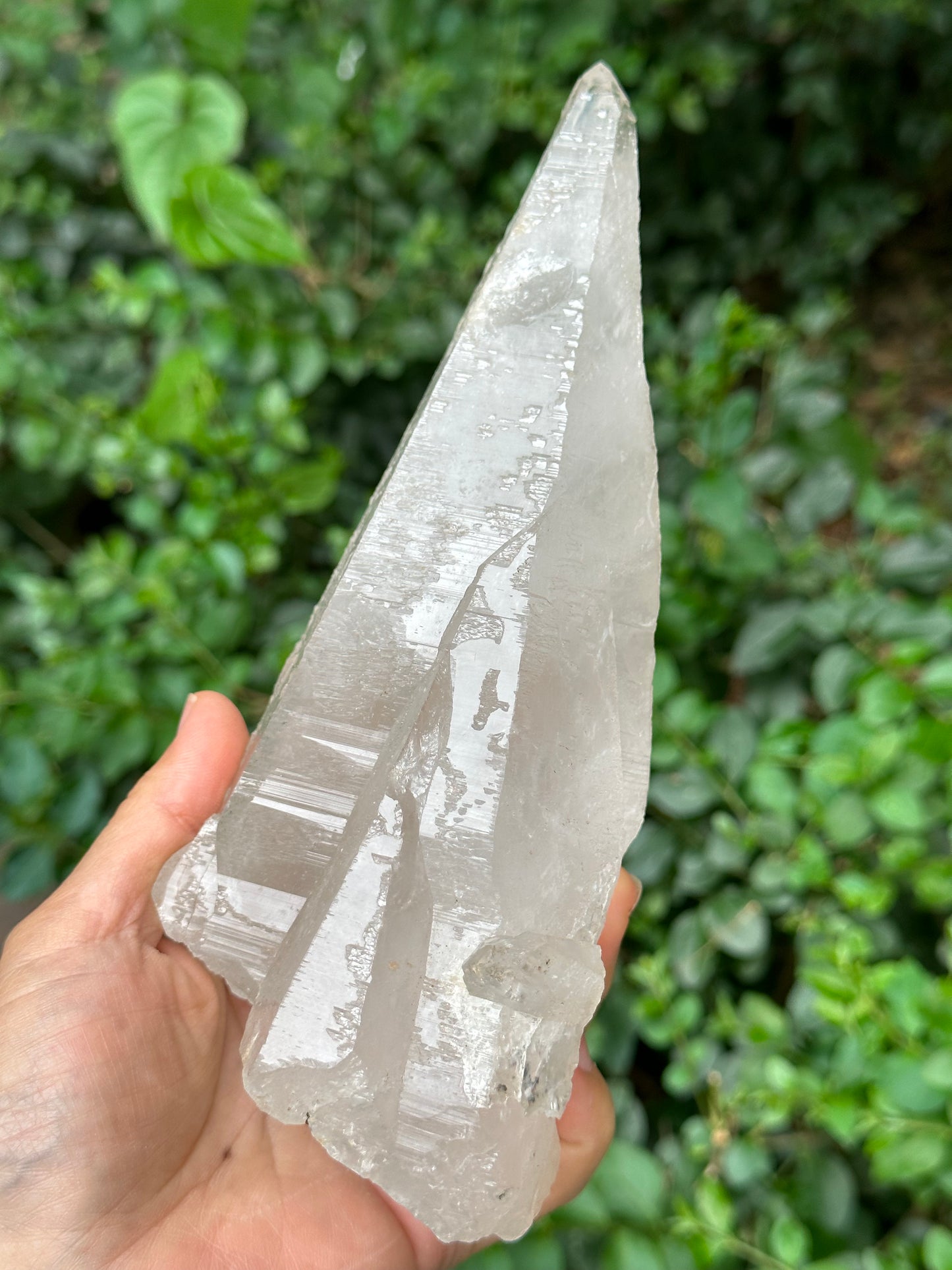 Rare Ice White Himalayan Skeletal Laser Quartz Castle Crystal Cluster/Knife Crystal Point-1125g 194*87*68 mm