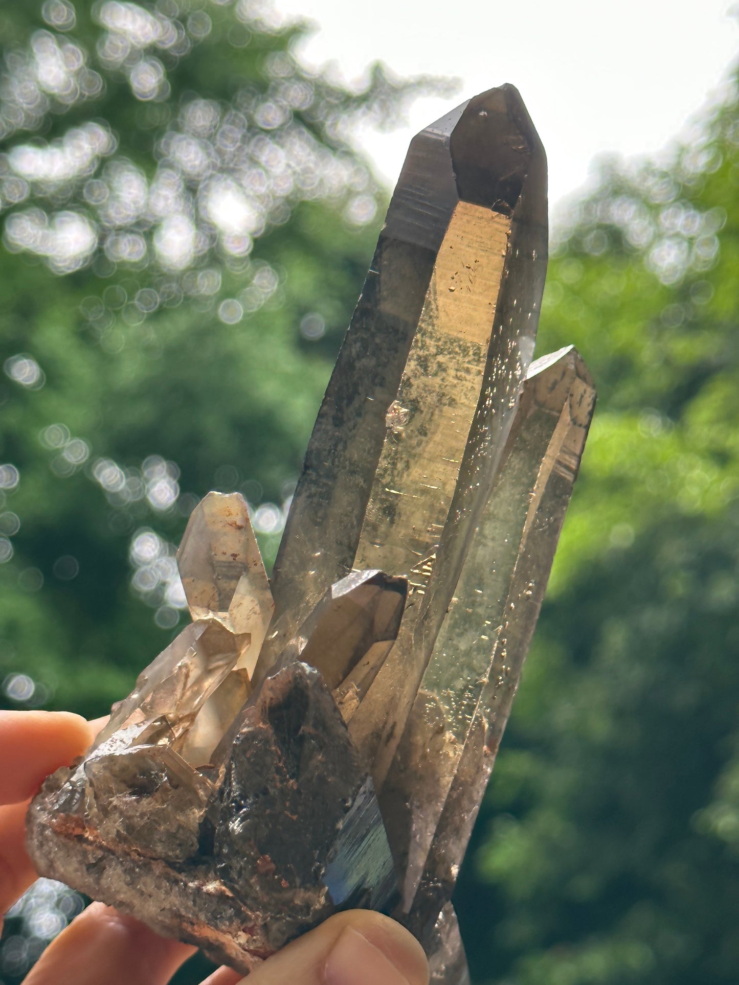 Tantric Twins Law Clear Smokey Quartz Knife Crystal Point/Citrine Quartz Muzo Crystal Cluster/Soulmate Twin Quartz Crystal-447 g