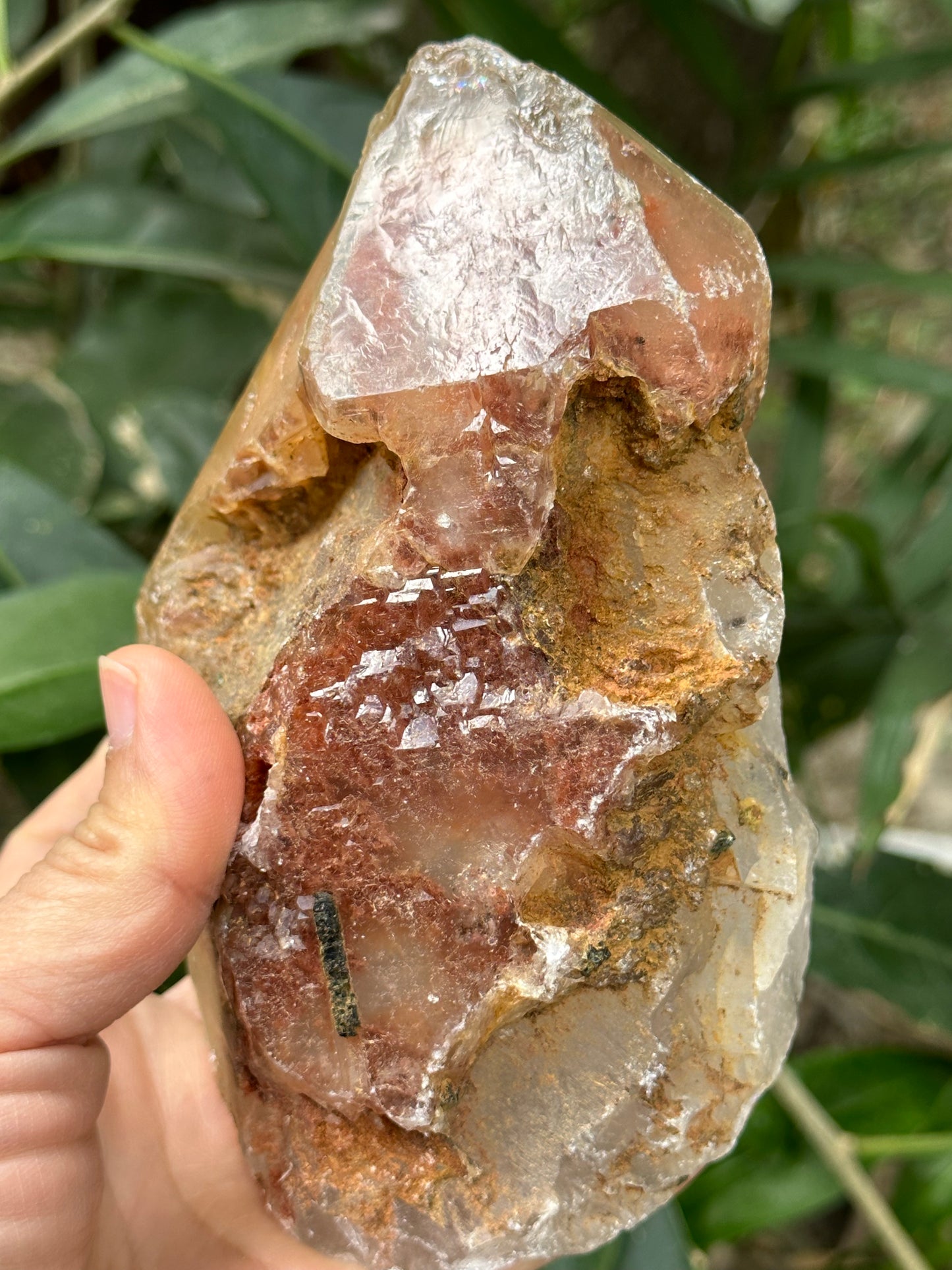 Rare Tangerine Amphibole & Green Tourmaline Grow with Quartz Crystal Point