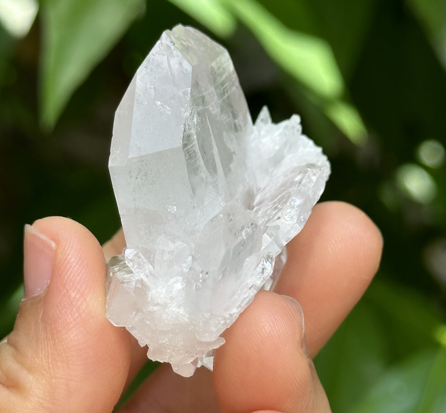 Clear Faden Quartz Tabular Crystal Cluster