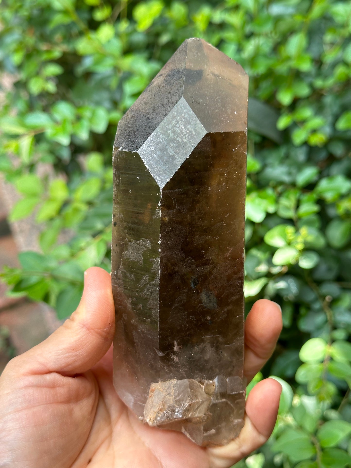 Time Links Smokey Quartz Crystal Point with Golden Rutile+Specularite Inclusion/Powerful Engergy Quartz /Healing Stone/Reiki/Chakra/Zen-541g