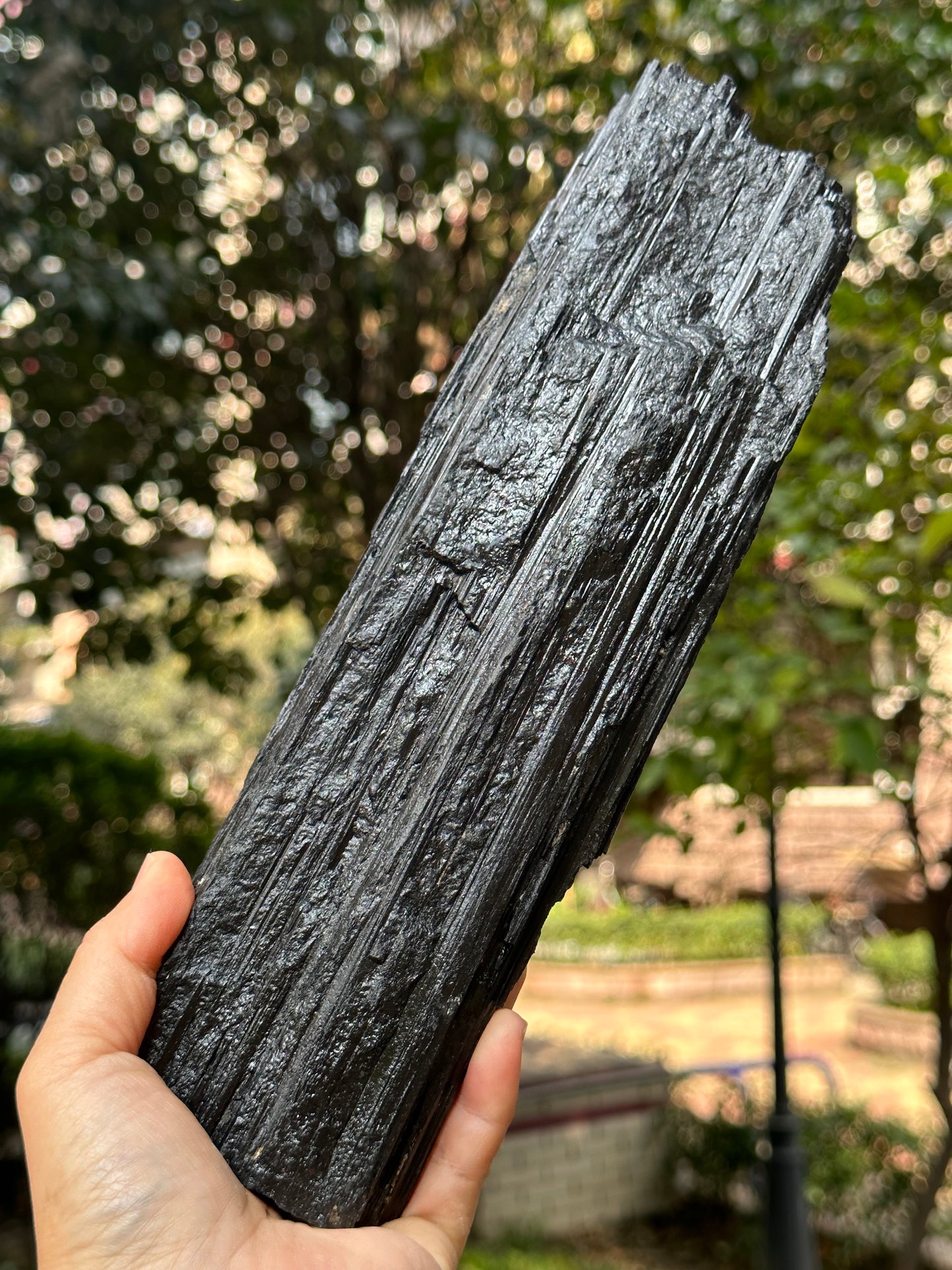 9.8 "/5 lbs  EXTRA LONG & LARGE Raw Black Tourmaline Crystal Point/Shining Tourmaline Specimen-250*83*52 mm 2241 g