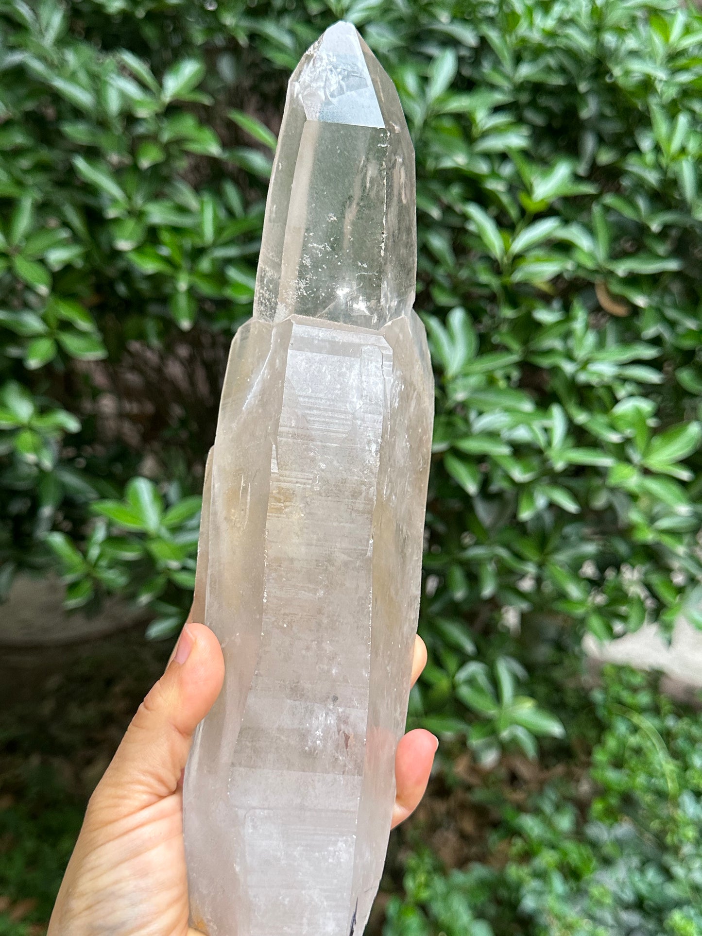 3.26 lbs Rare Himalayan Castle Quartz Starbrary Crystal Point/Rainbow Time Links Crystal/Reiki/Chakra/Healing Stone/Meditation/Special Gift-1466g