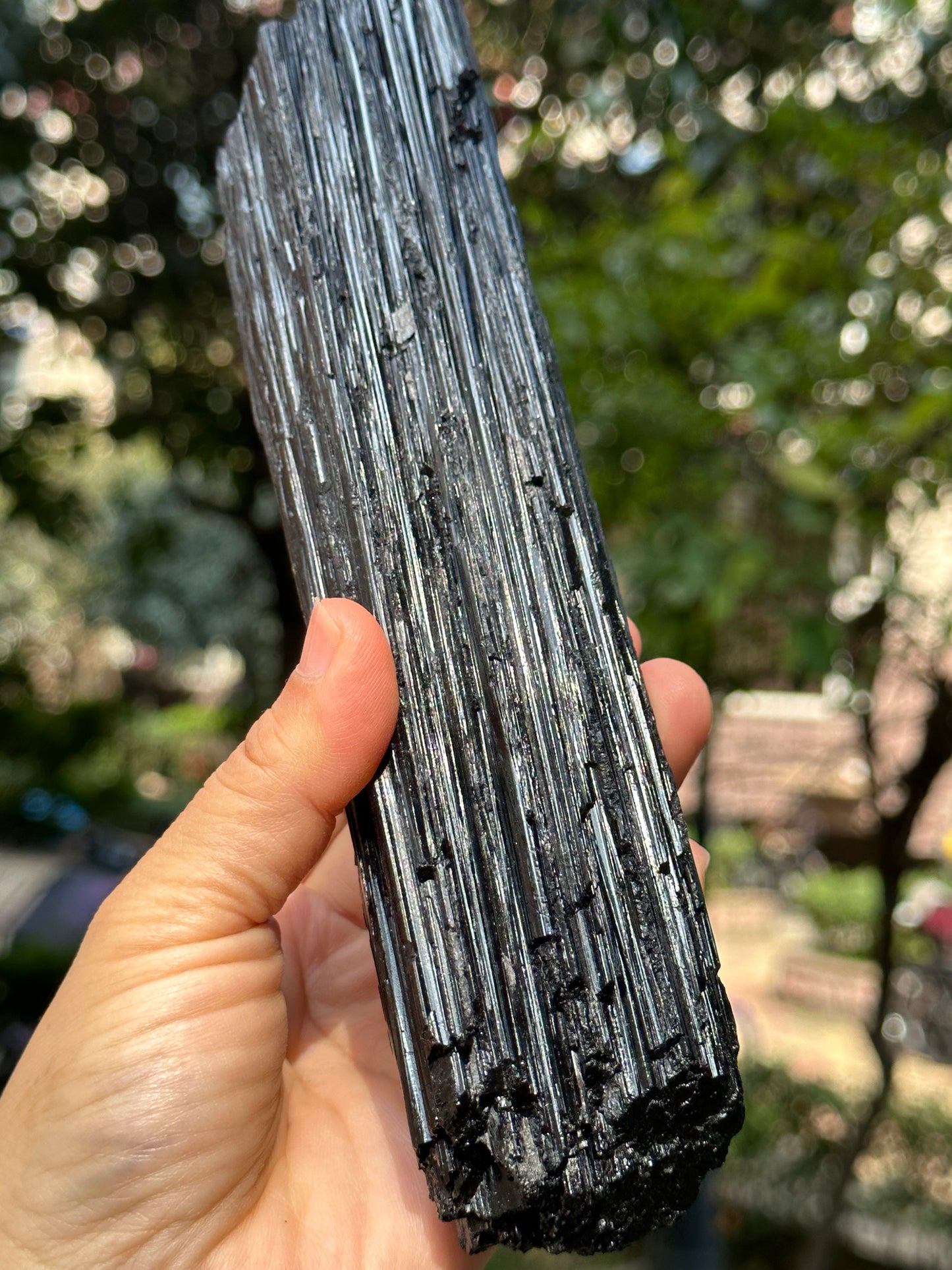 8.2 " Natural LONG & LARGE Raw Black Tourmaline Crystal Point/Shining Tourmaline Specimen-208*53*43 mm 860 g