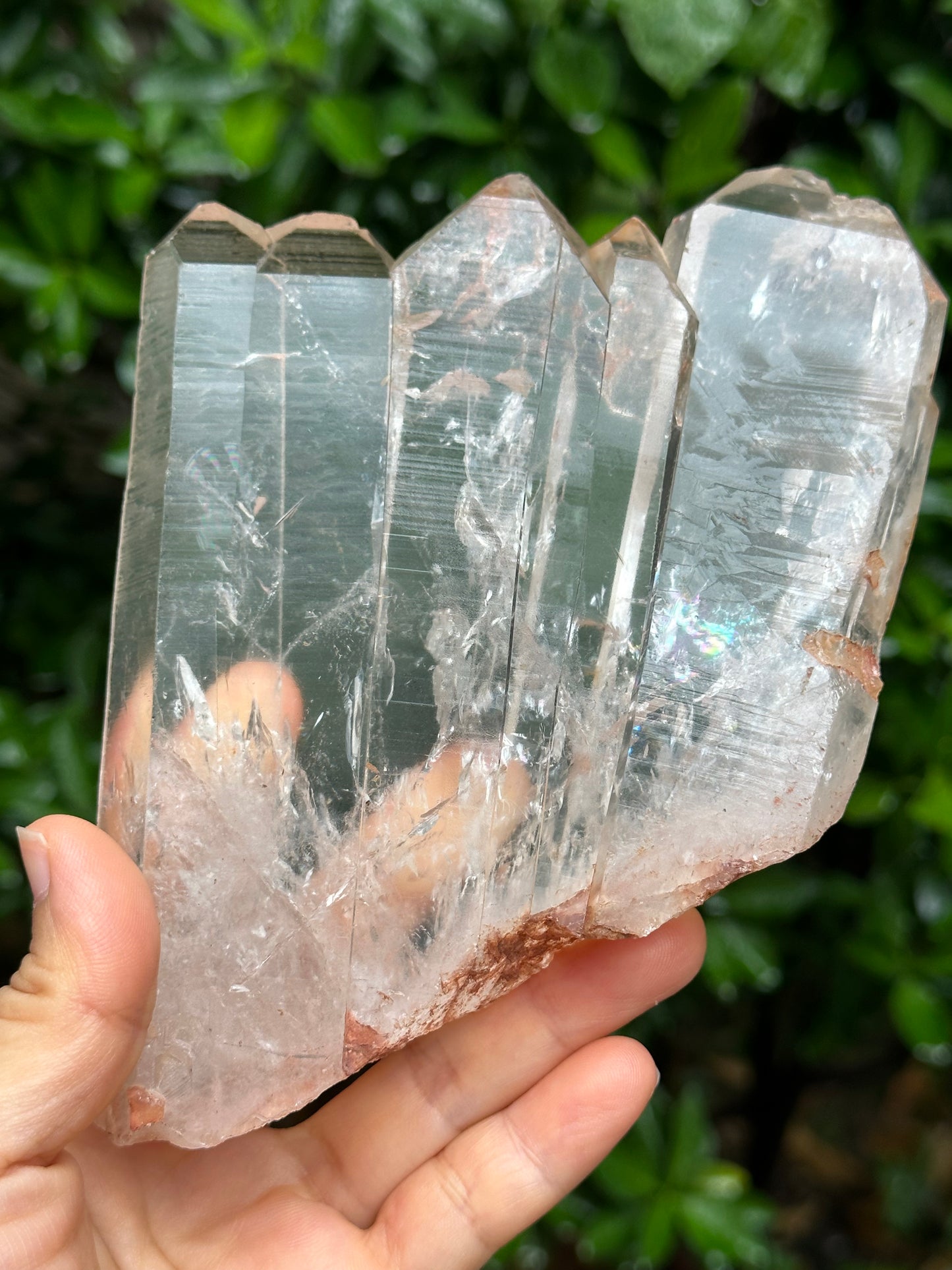 Rare Himalayan Tabular Multiple Quartz Crystals + wooden stand