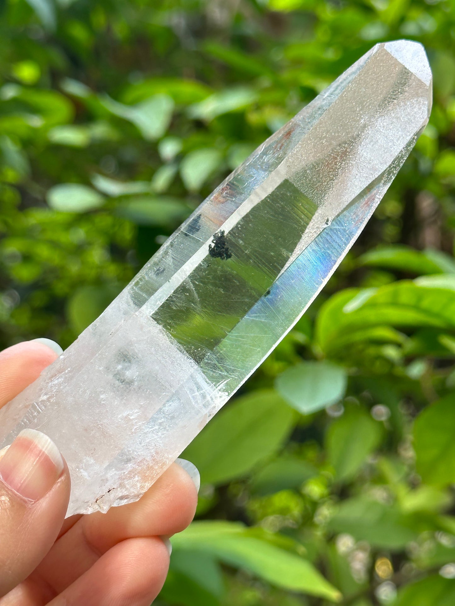 Rare Perfect Clear Record-keeper Lemurian Seed Quartz Crystal With Green Phantom &amp; Silver Rutile Included