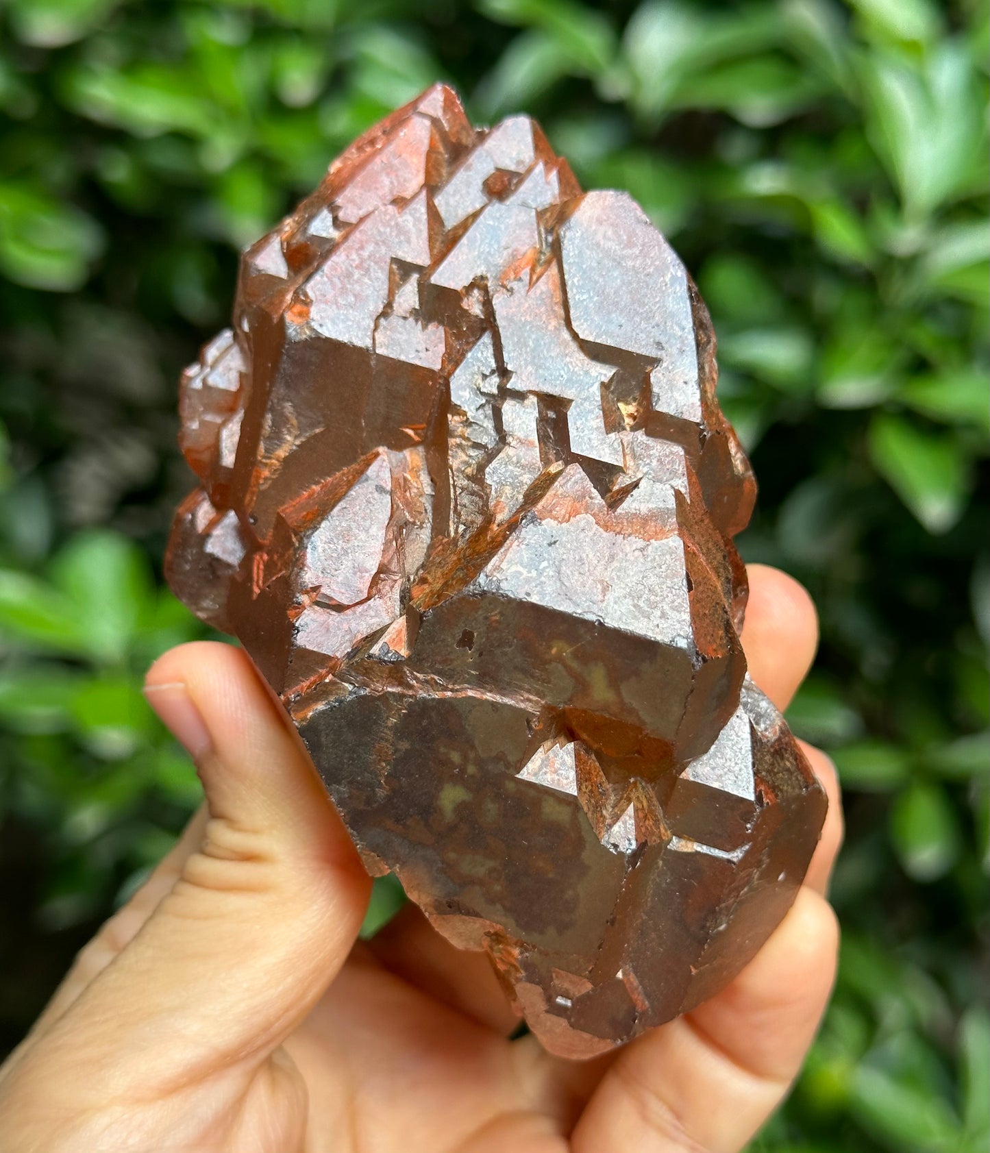 238 g Rare Double Terminated Red Hematite Quartz Elestial Crystal Cluster