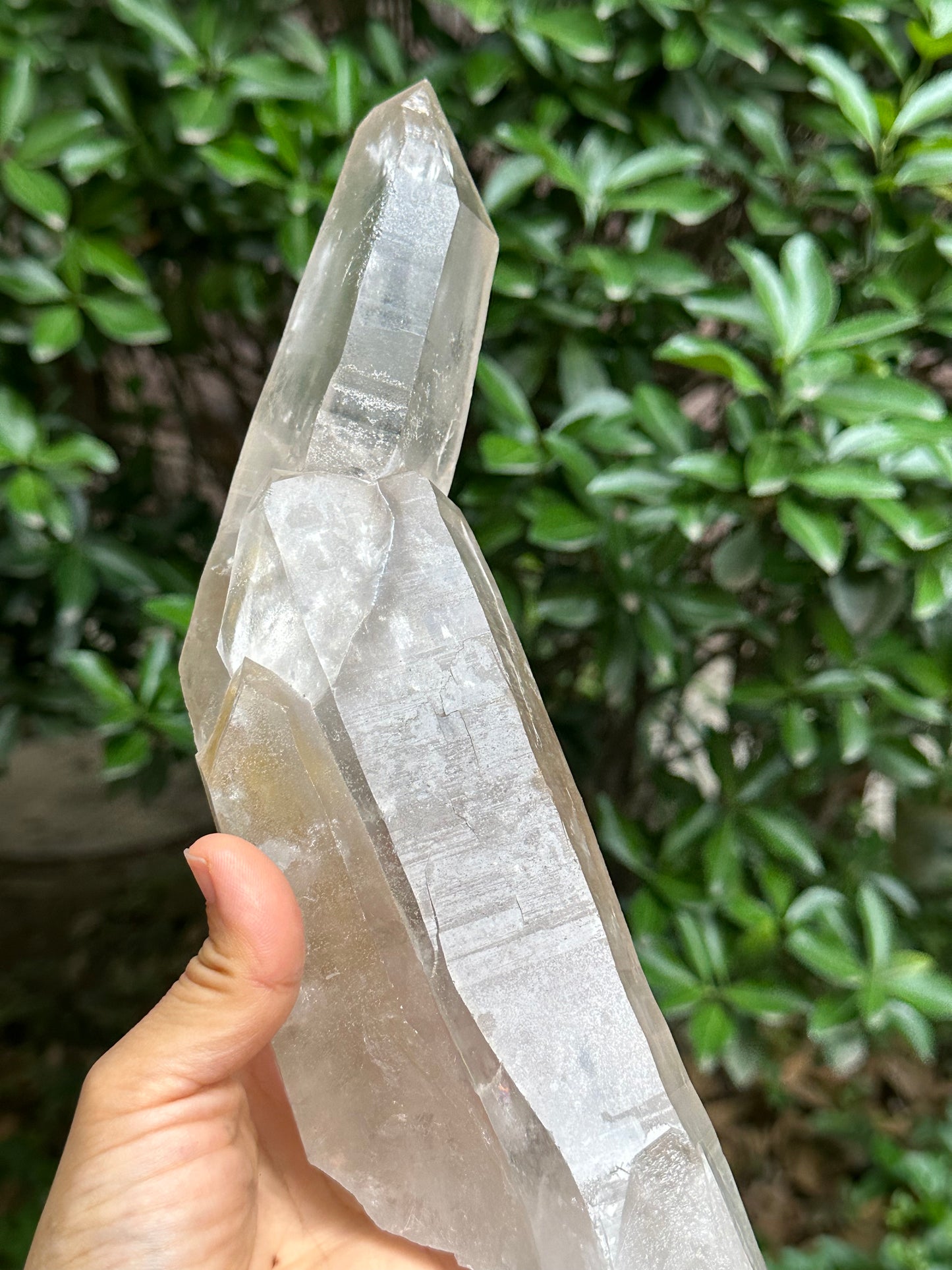 3.26 lbs Rare Himalayan Castle Quartz Starbrary Crystal Point/Rainbow Time Links Crystal/Reiki/Chakra/Healing Stone/Meditation/Special Gift-1466g